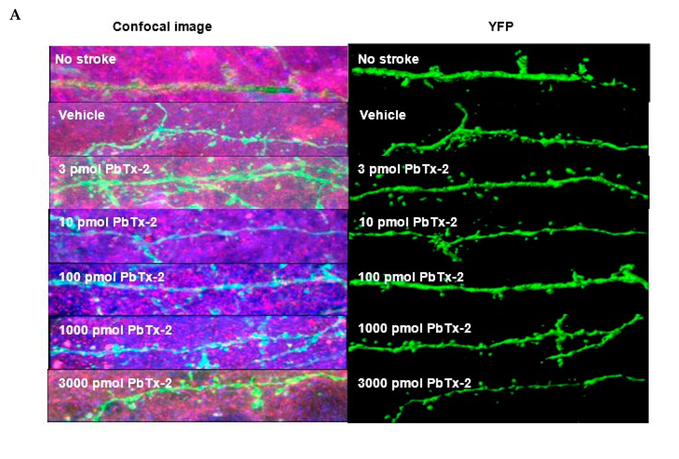 Marinedrugs 18 00374 g004a