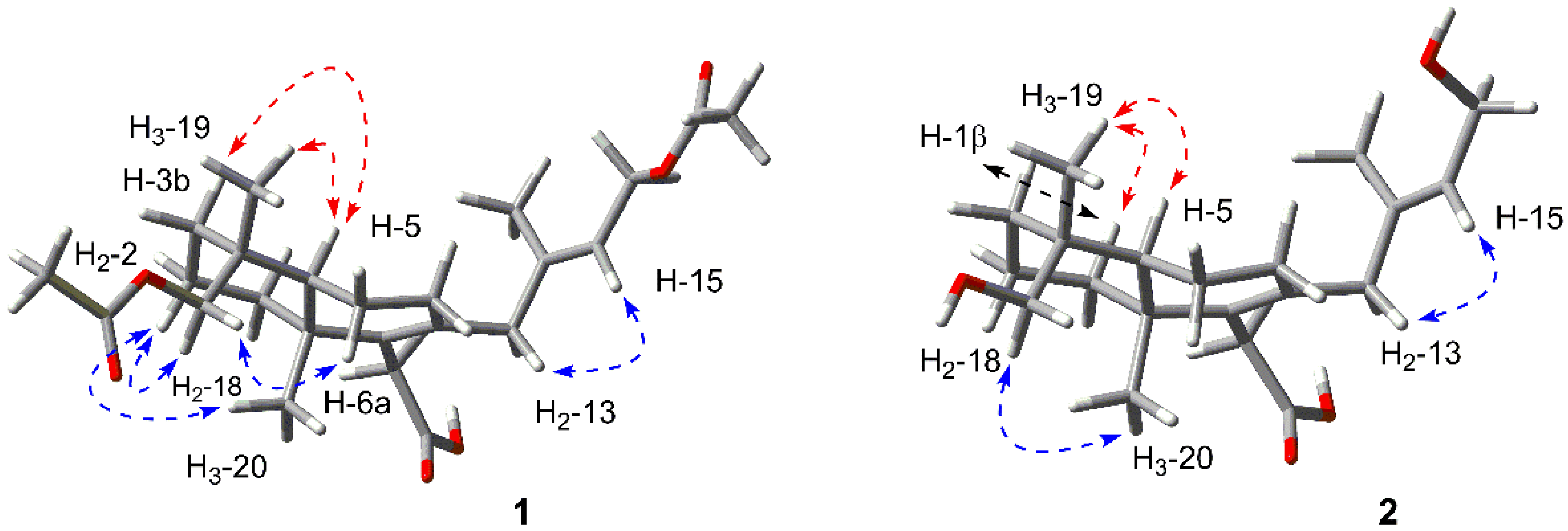 Marinedrugs 18 00381 g003