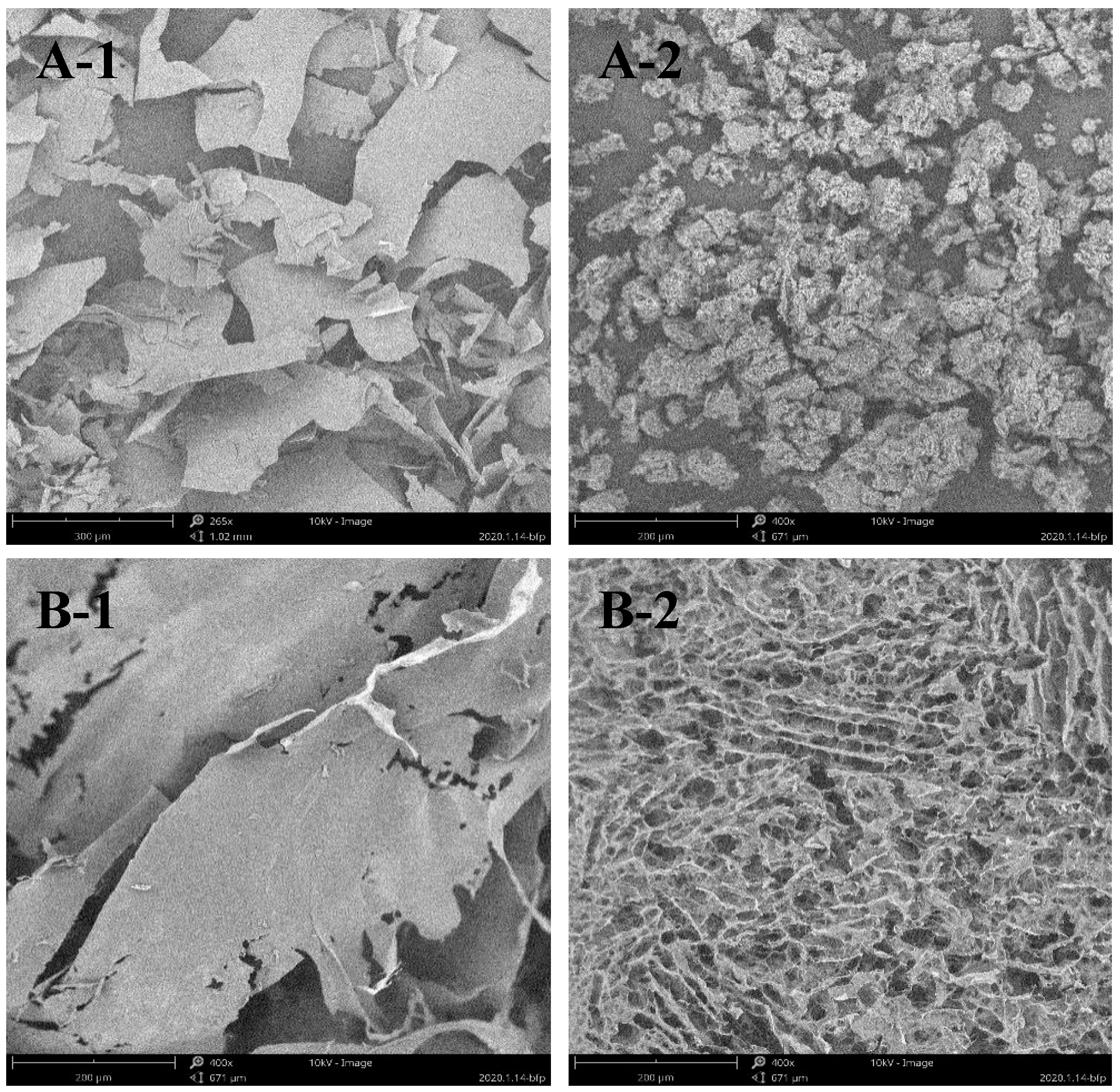 Marinedrugs 18 00397 g002