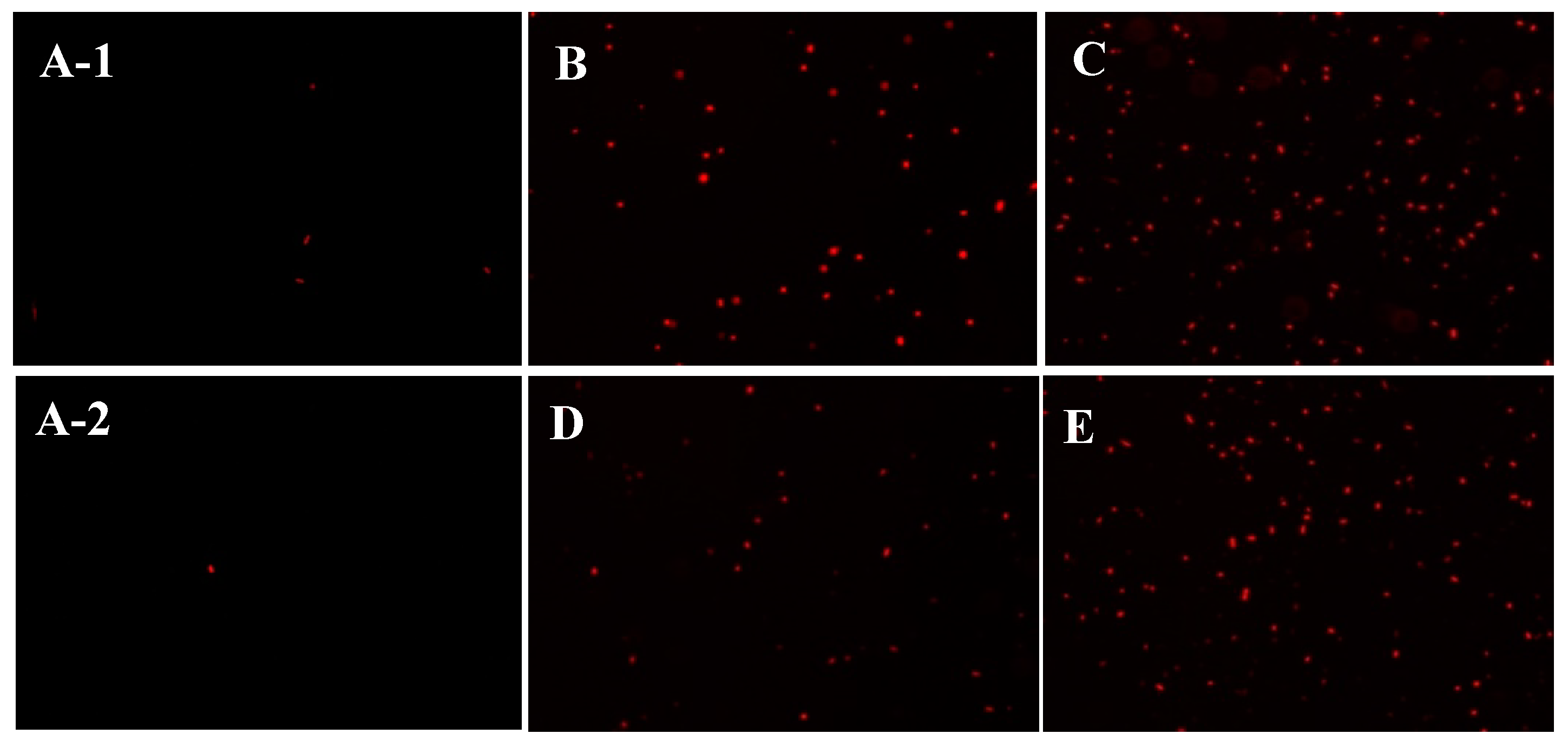 Marinedrugs 18 00397 g005