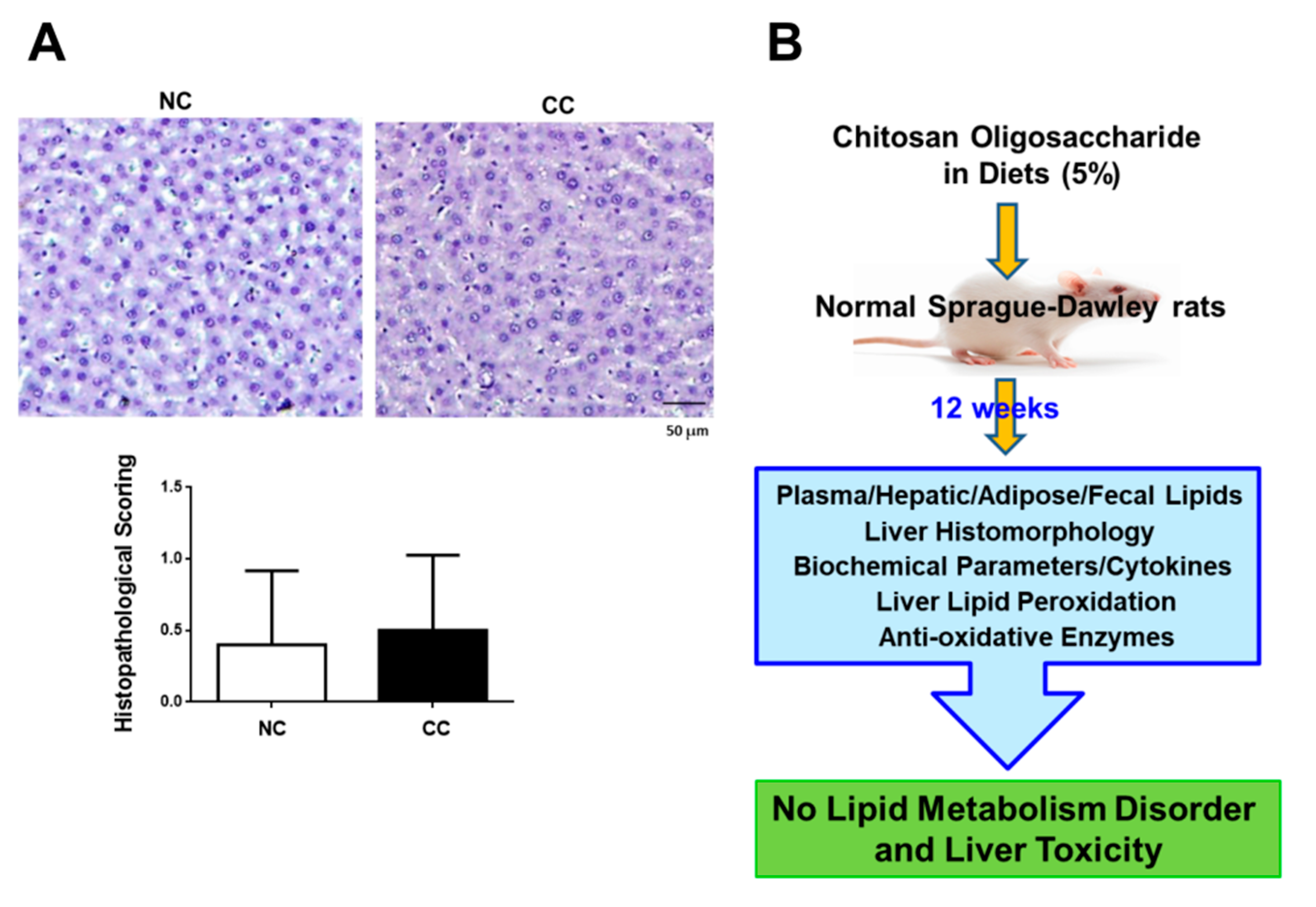 Marinedrugs 18 00408 g004