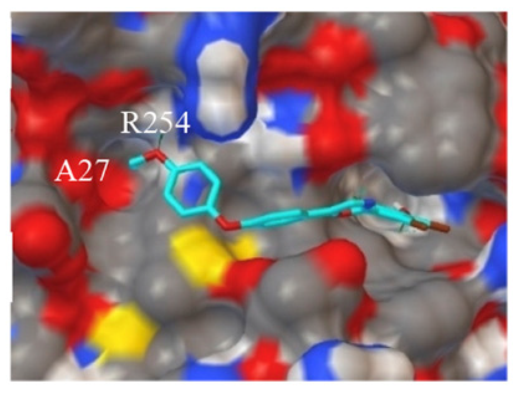 Marinedrugs 18 00411 g005