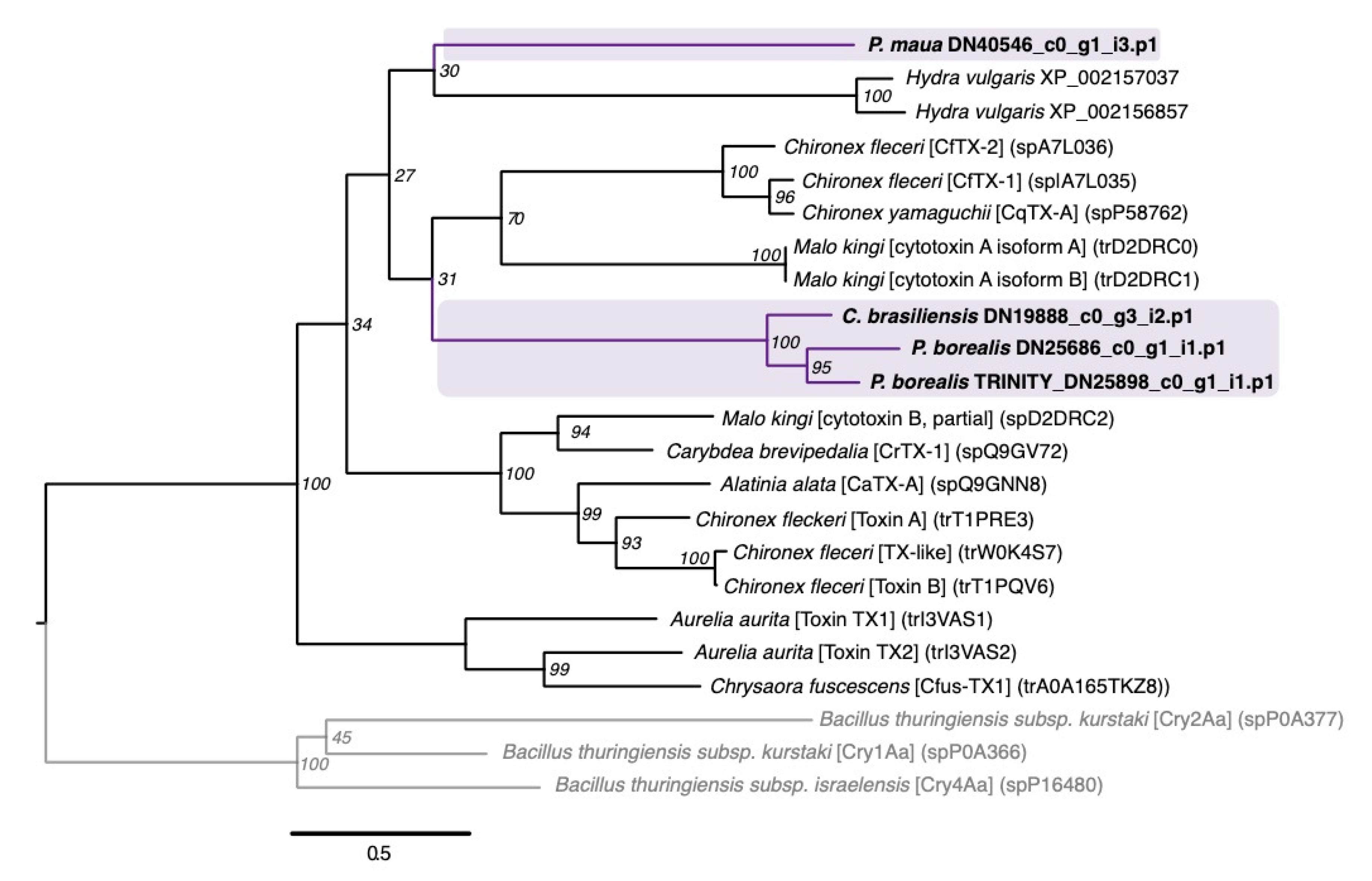Marinedrugs 18 00413 g004