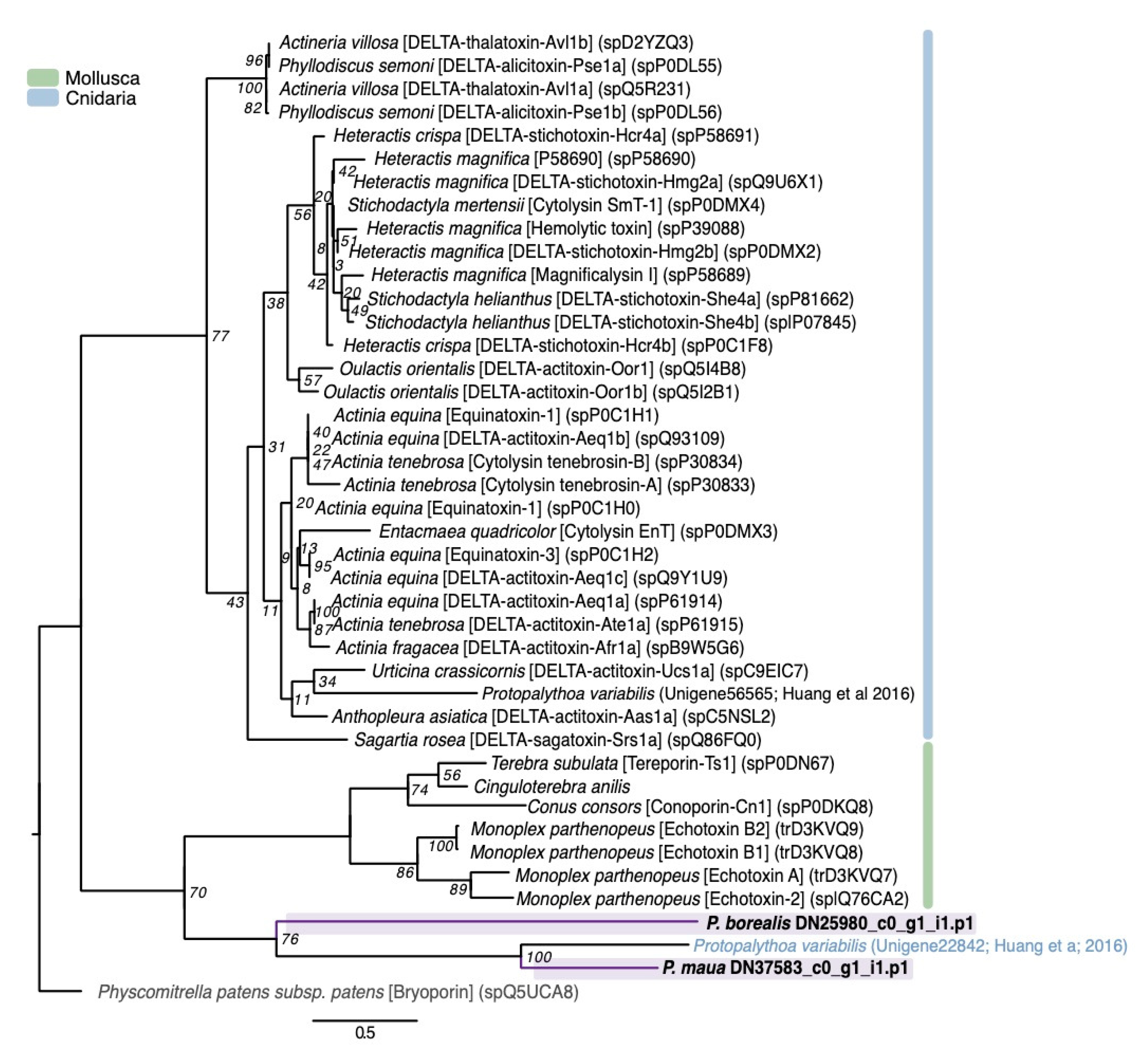 Marinedrugs 18 00413 g005