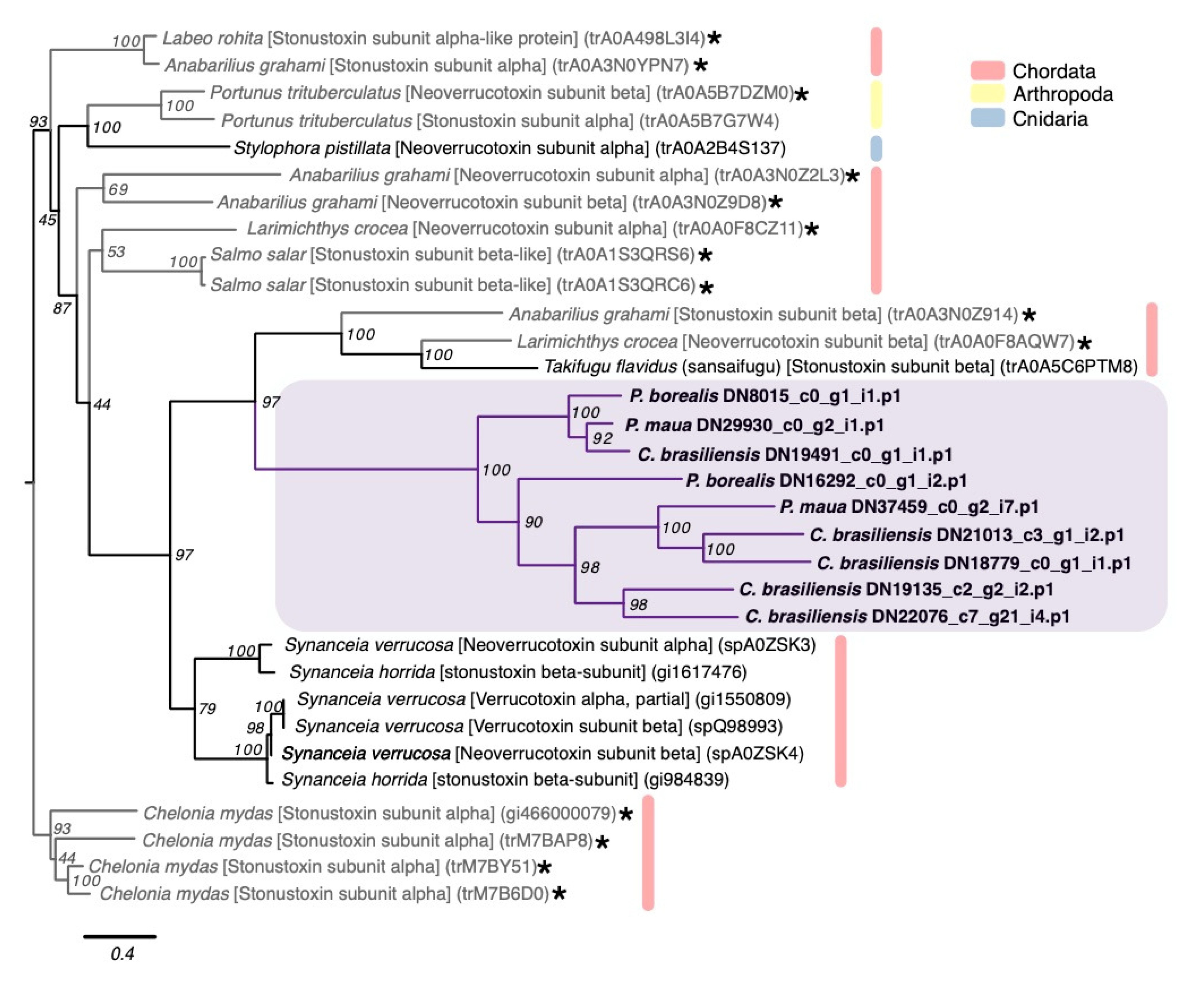 Marinedrugs 18 00413 g006