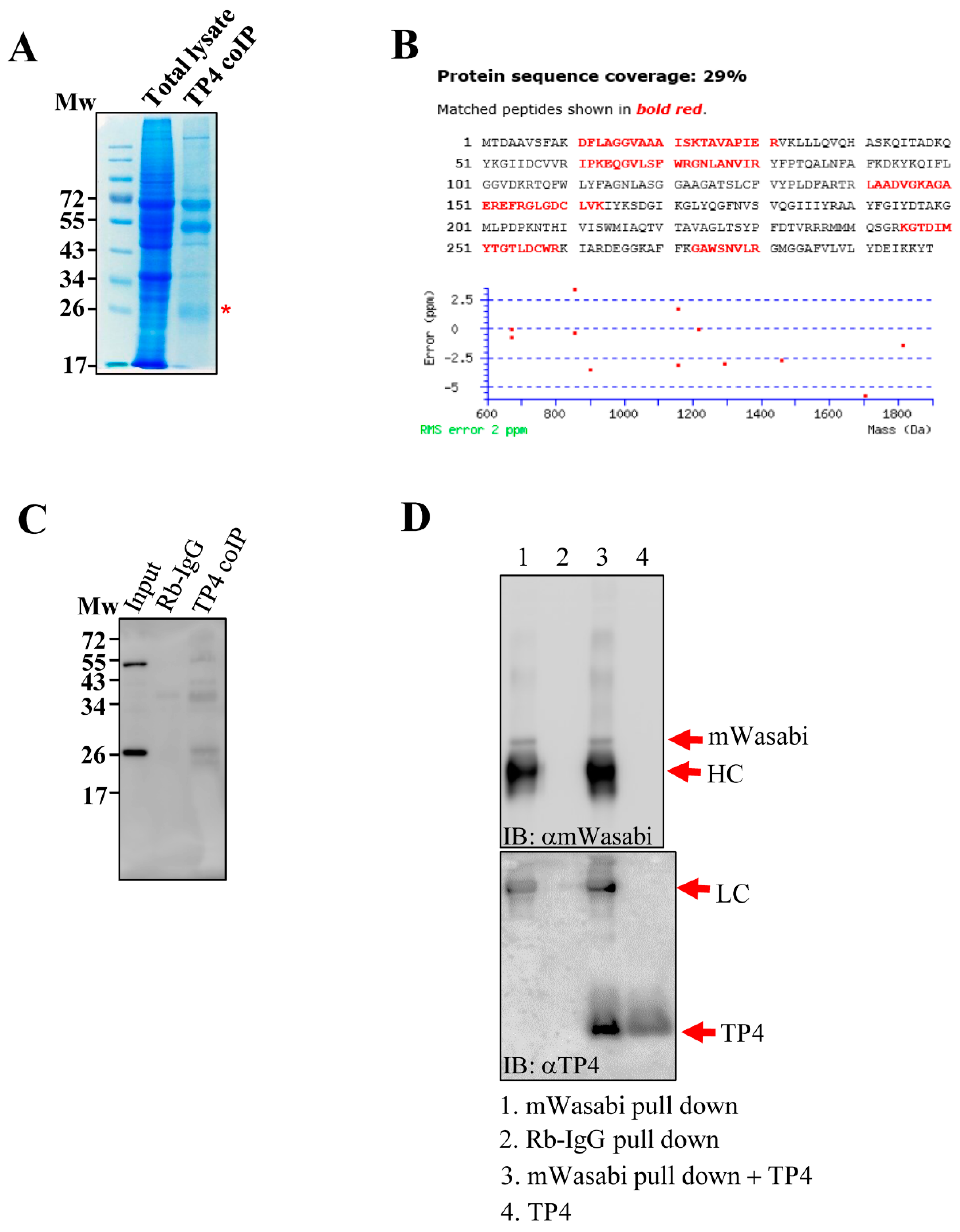 Marinedrugs 18 00417 g001 Marinedrugs 18 00417 g001