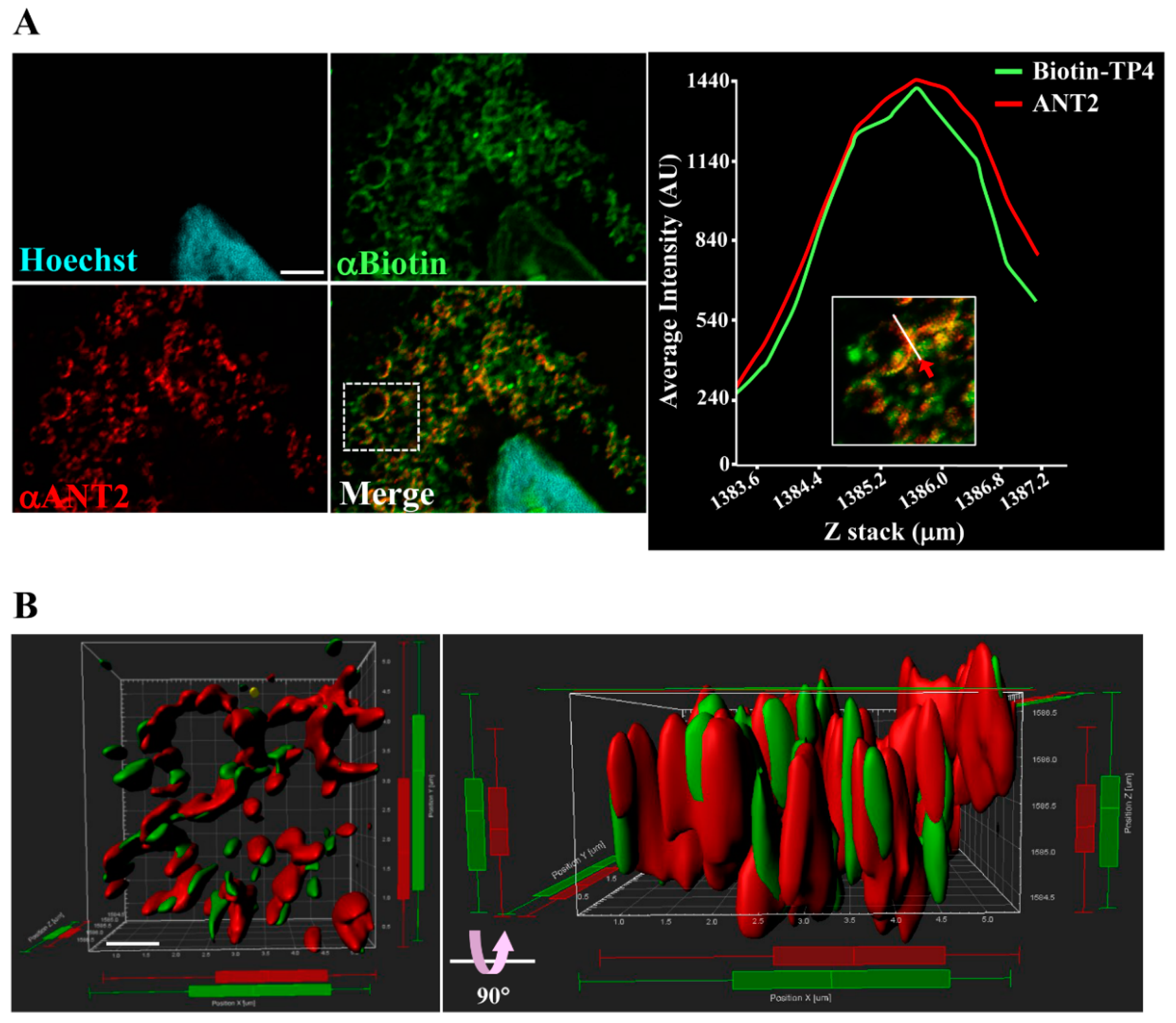 Marinedrugs 18 00417 g002 Marinedrugs 18 00417 g002