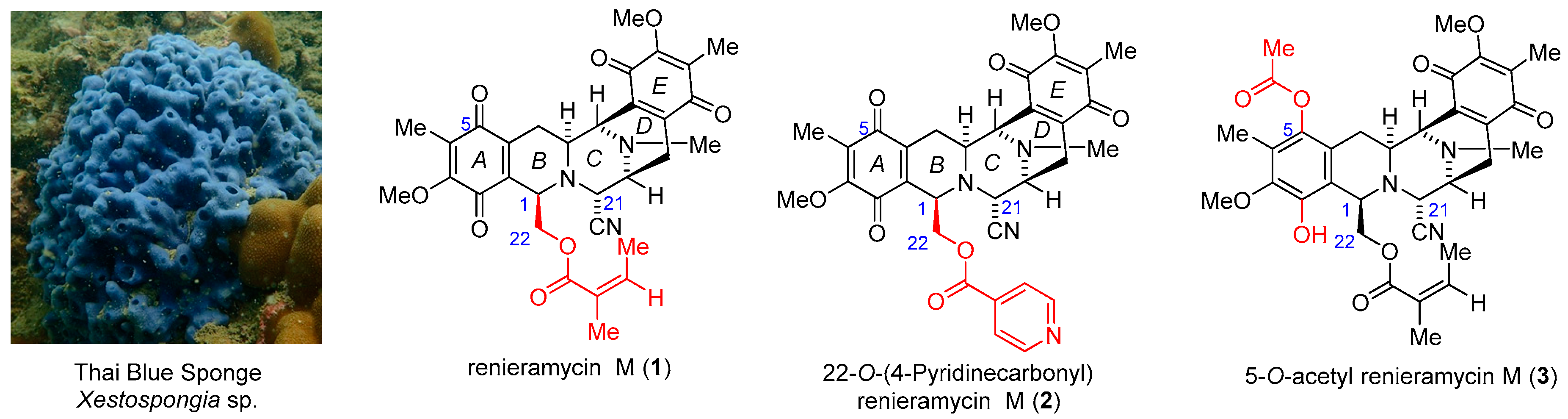 Marinedrugs 18 00418 g001