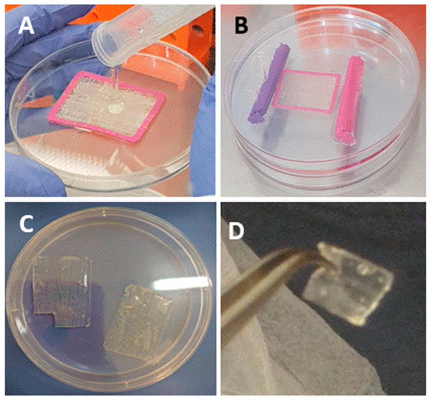 Marinedrugs 18 00420 g001