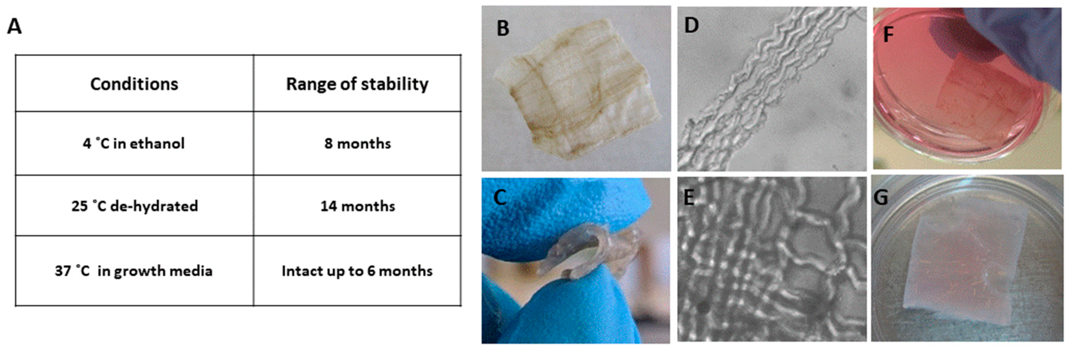 Marinedrugs 18 00420 g002