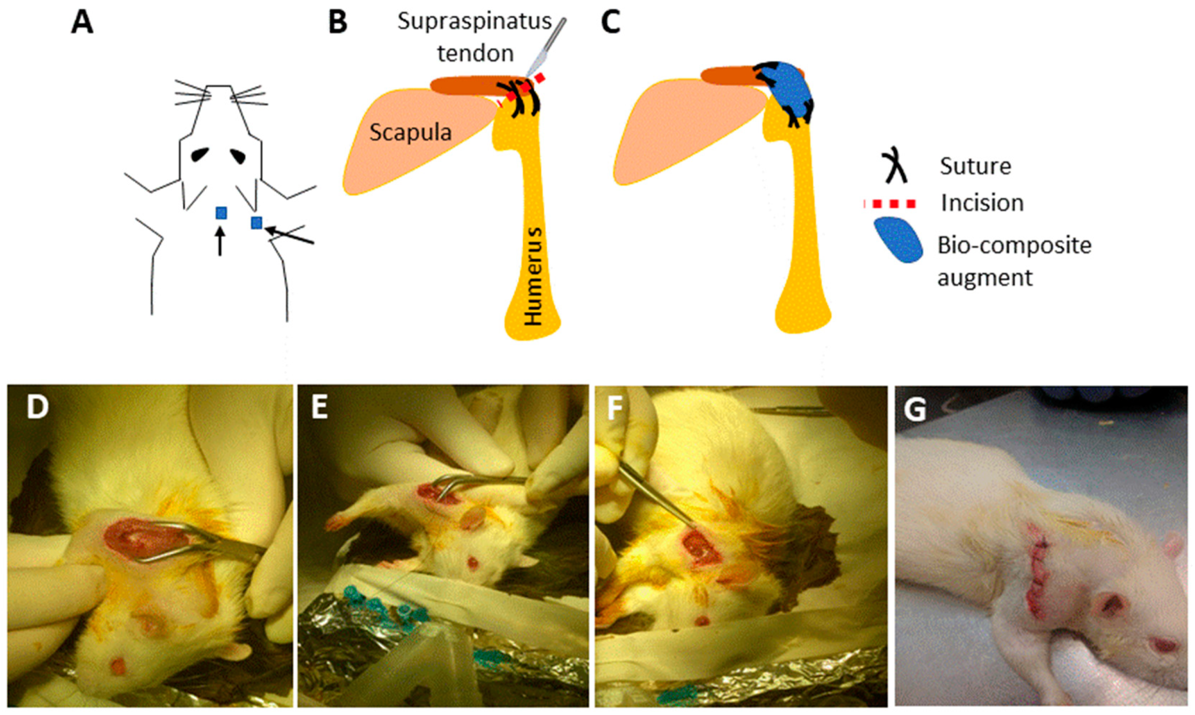 Marinedrugs 18 00420 g003