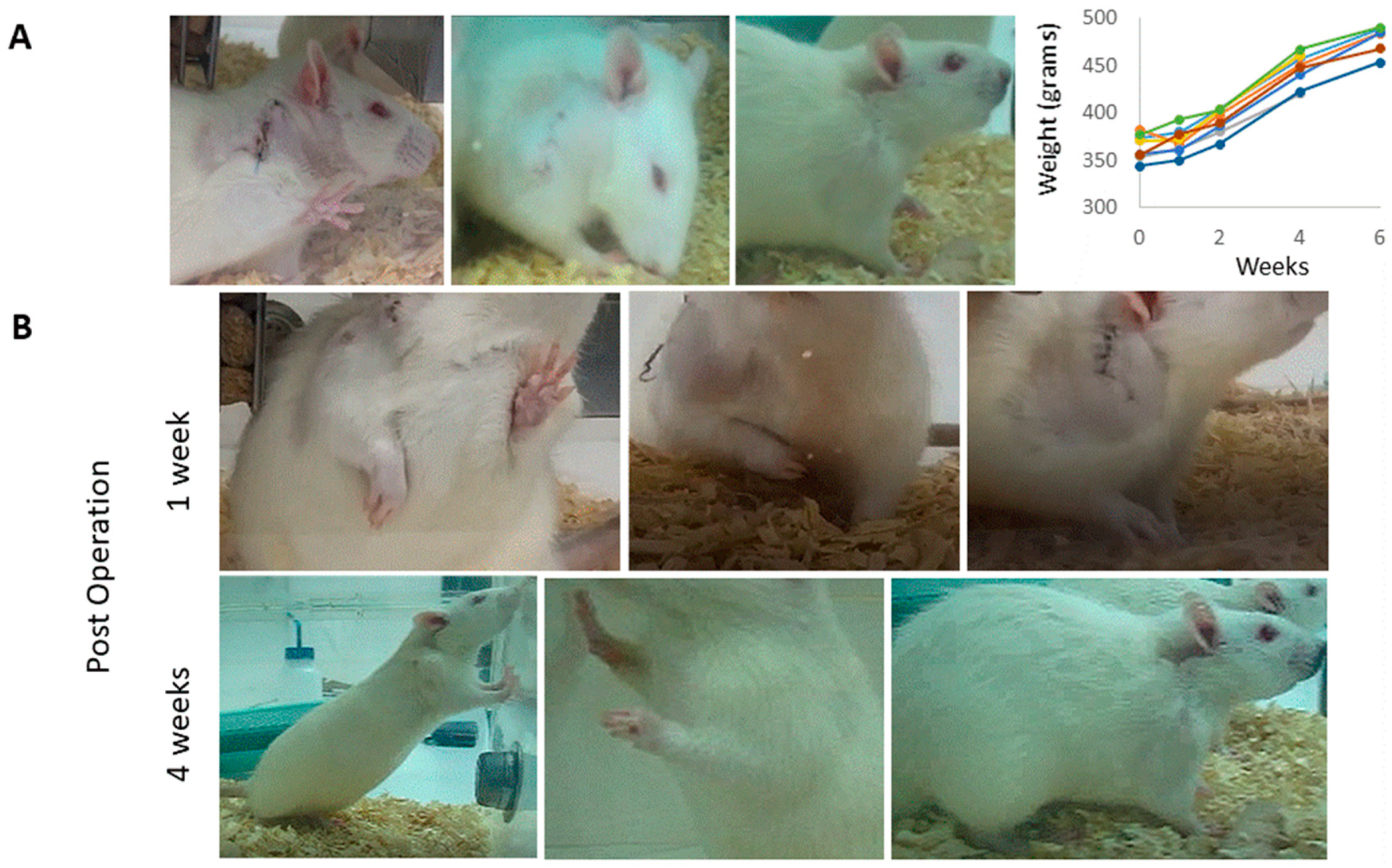 Marinedrugs 18 00420 g004