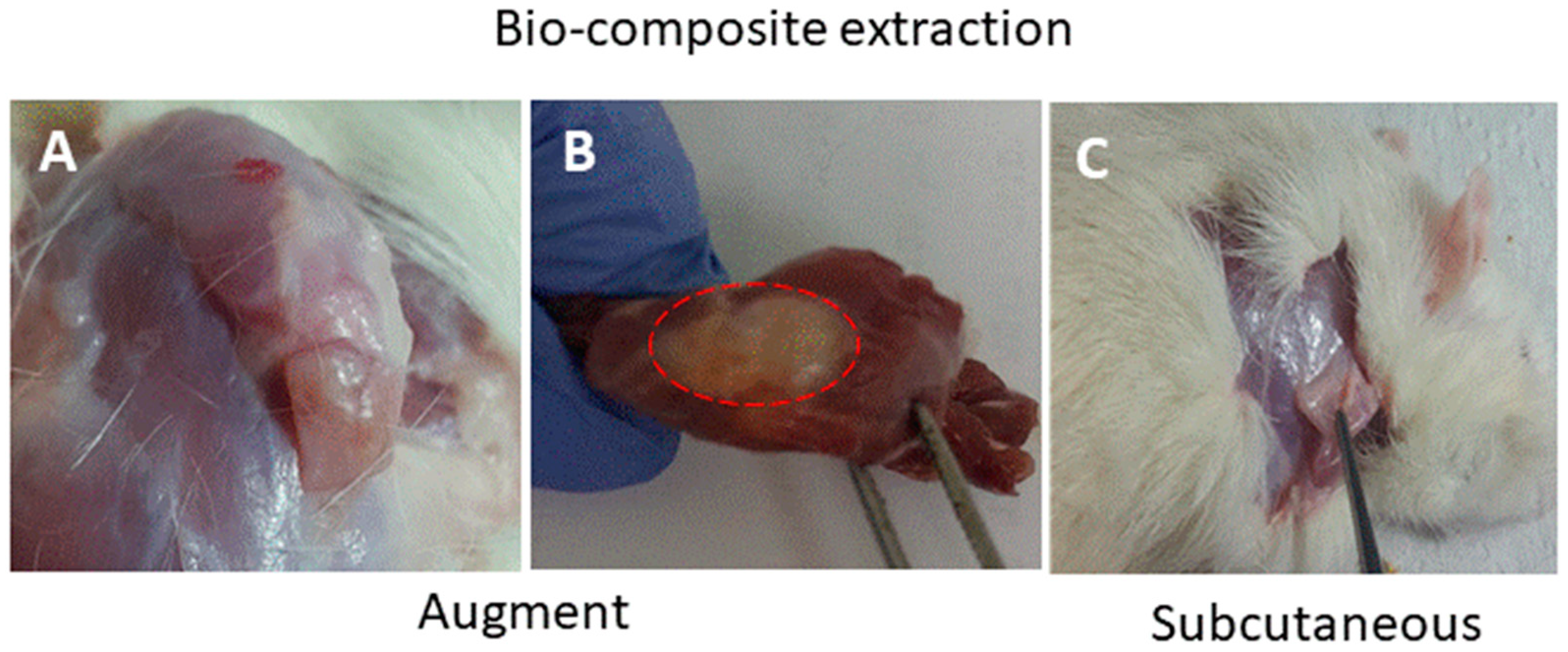 Marinedrugs 18 00420 g005