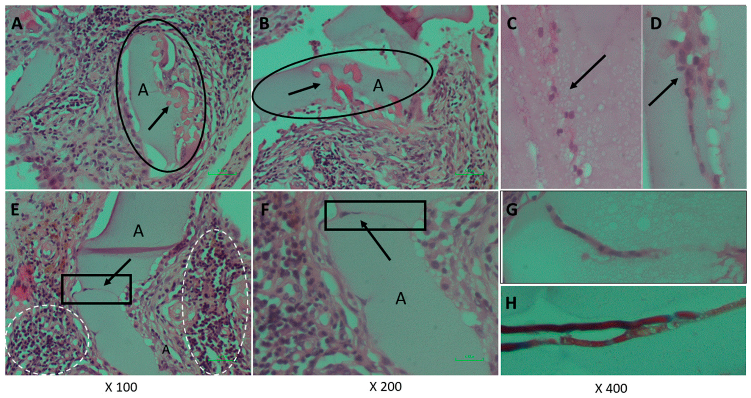 Marinedrugs 18 00420 g006