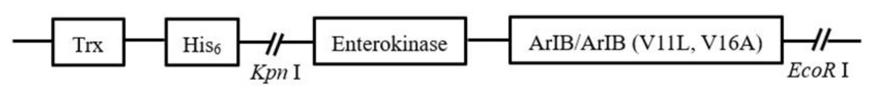 Marinedrugs 18 00422 g001 Marinedrugs 18 00422 g001