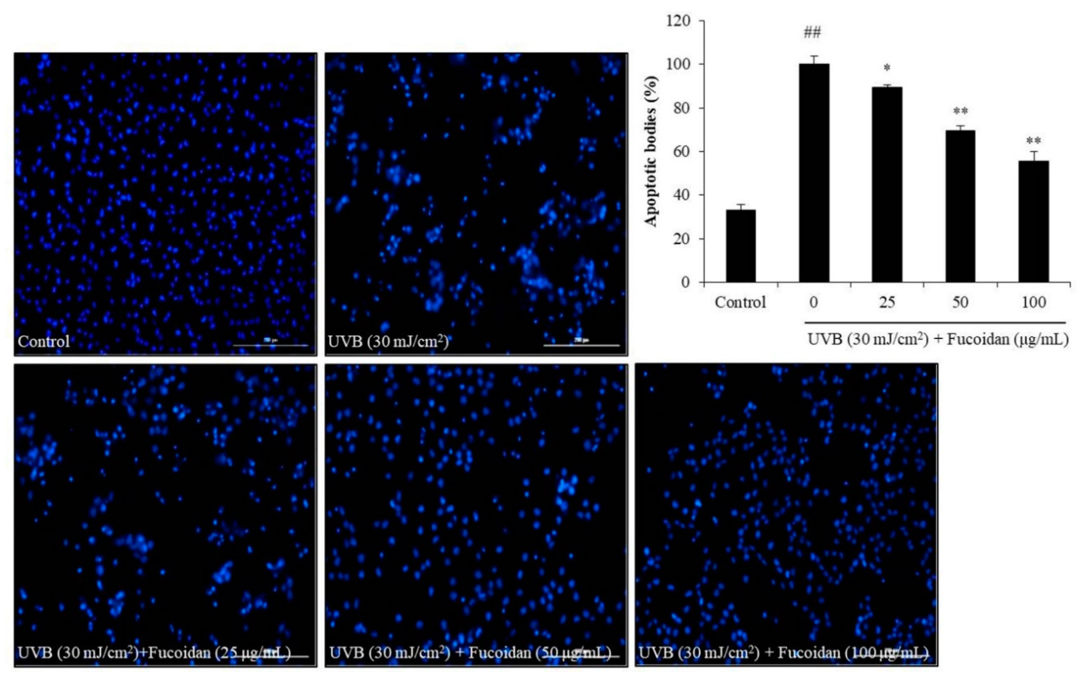 Marinedrugs 18 00427 g002 Marinedrugs 18 00427 g002