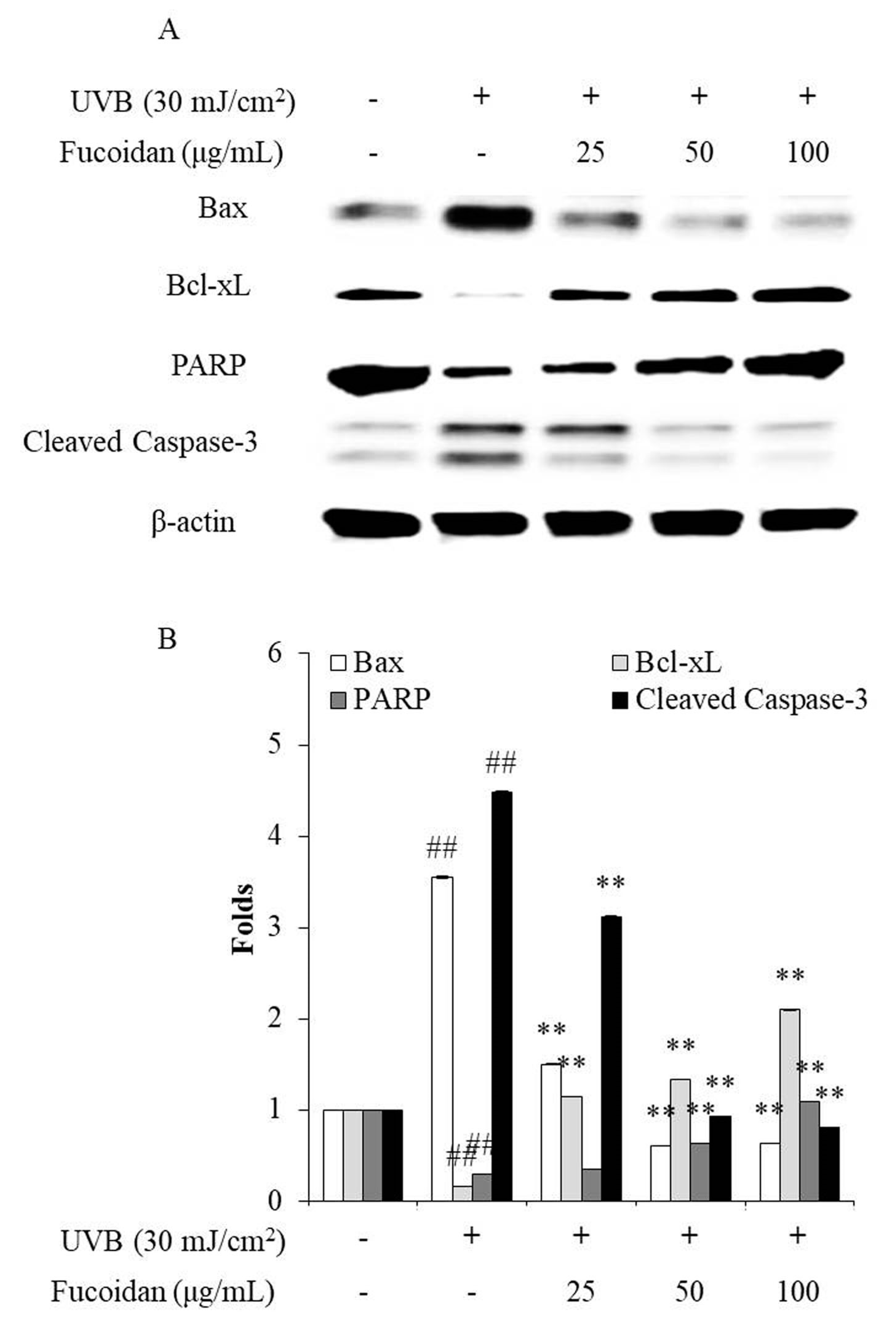 Marinedrugs 18 00427 g003 Marinedrugs 18 00427 g003