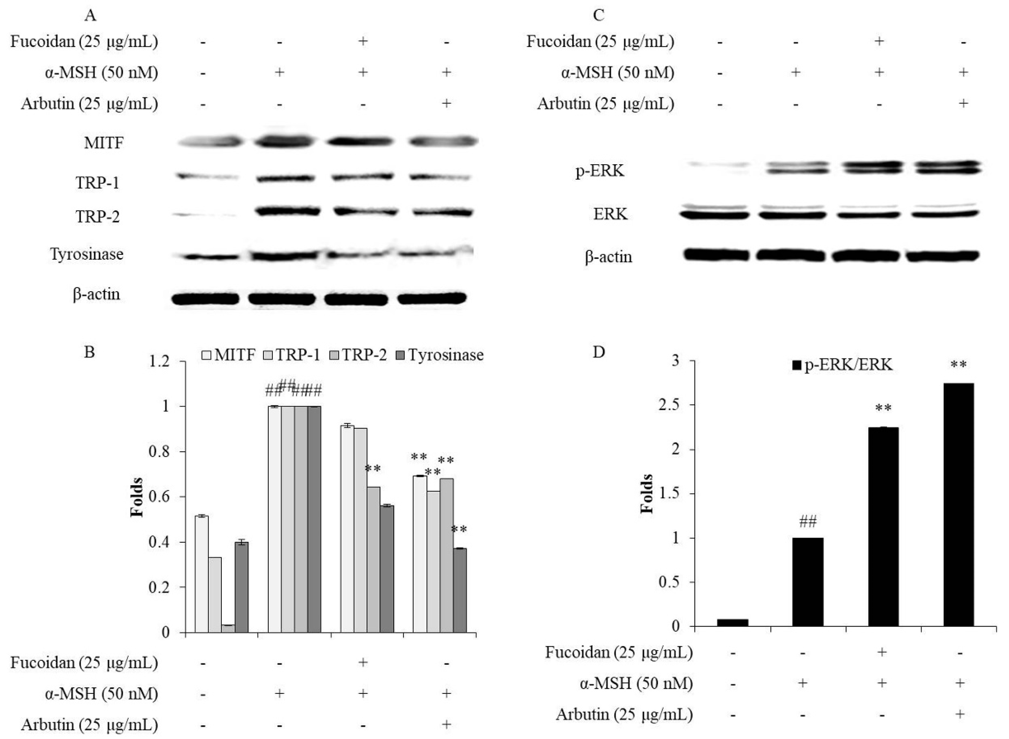 Marinedrugs 18 00427 g005 Marinedrugs 18 00427 g005