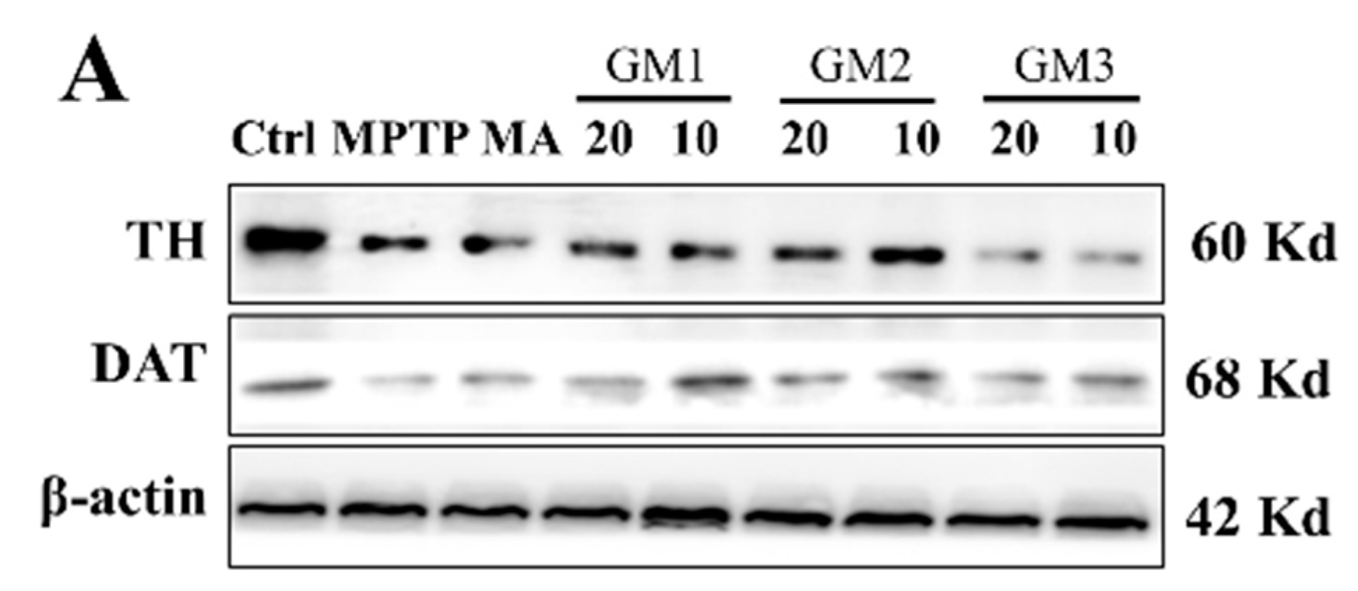 Marinedrugs 18 00438 g005a