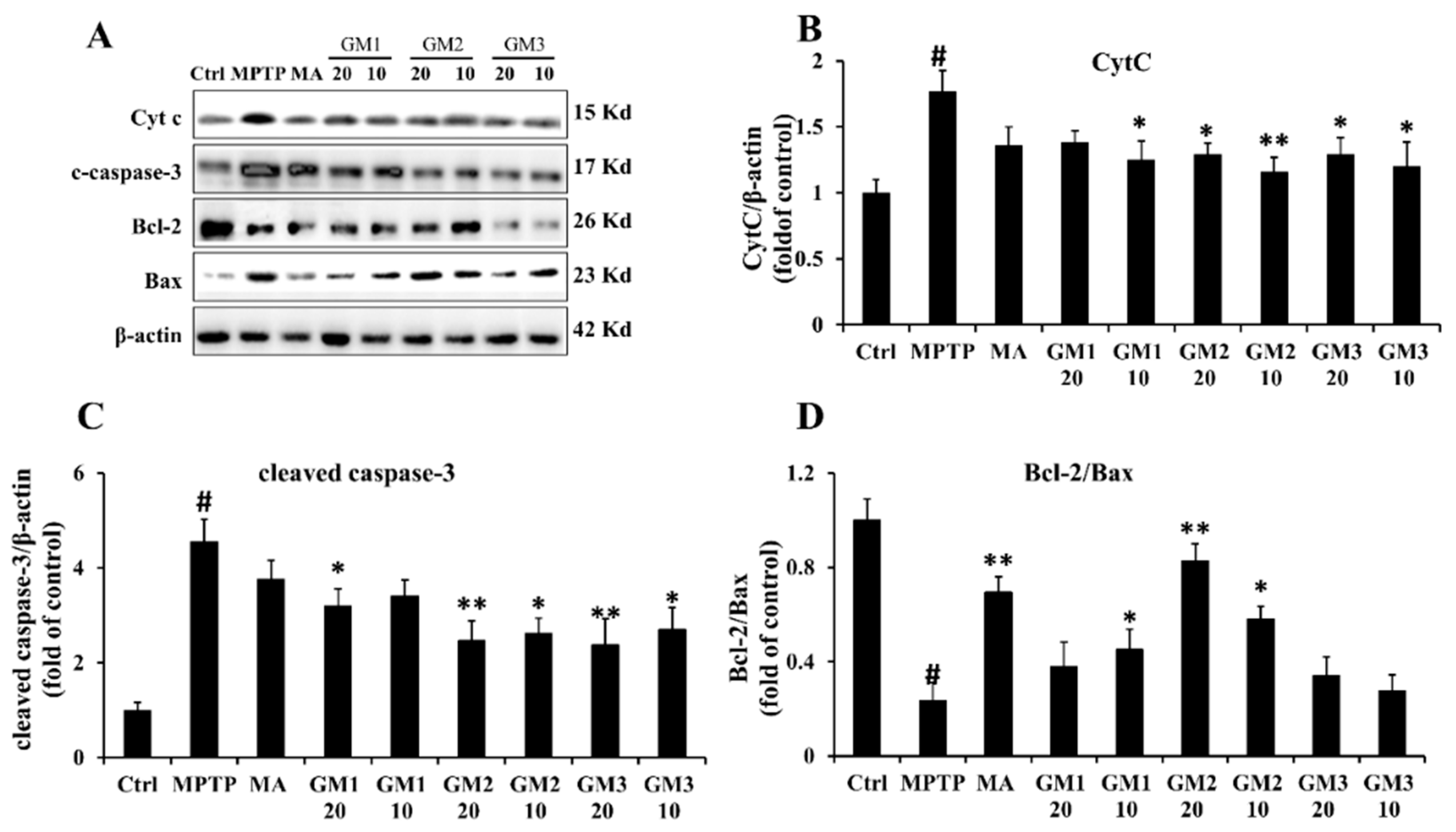 Marinedrugs 18 00438 g006