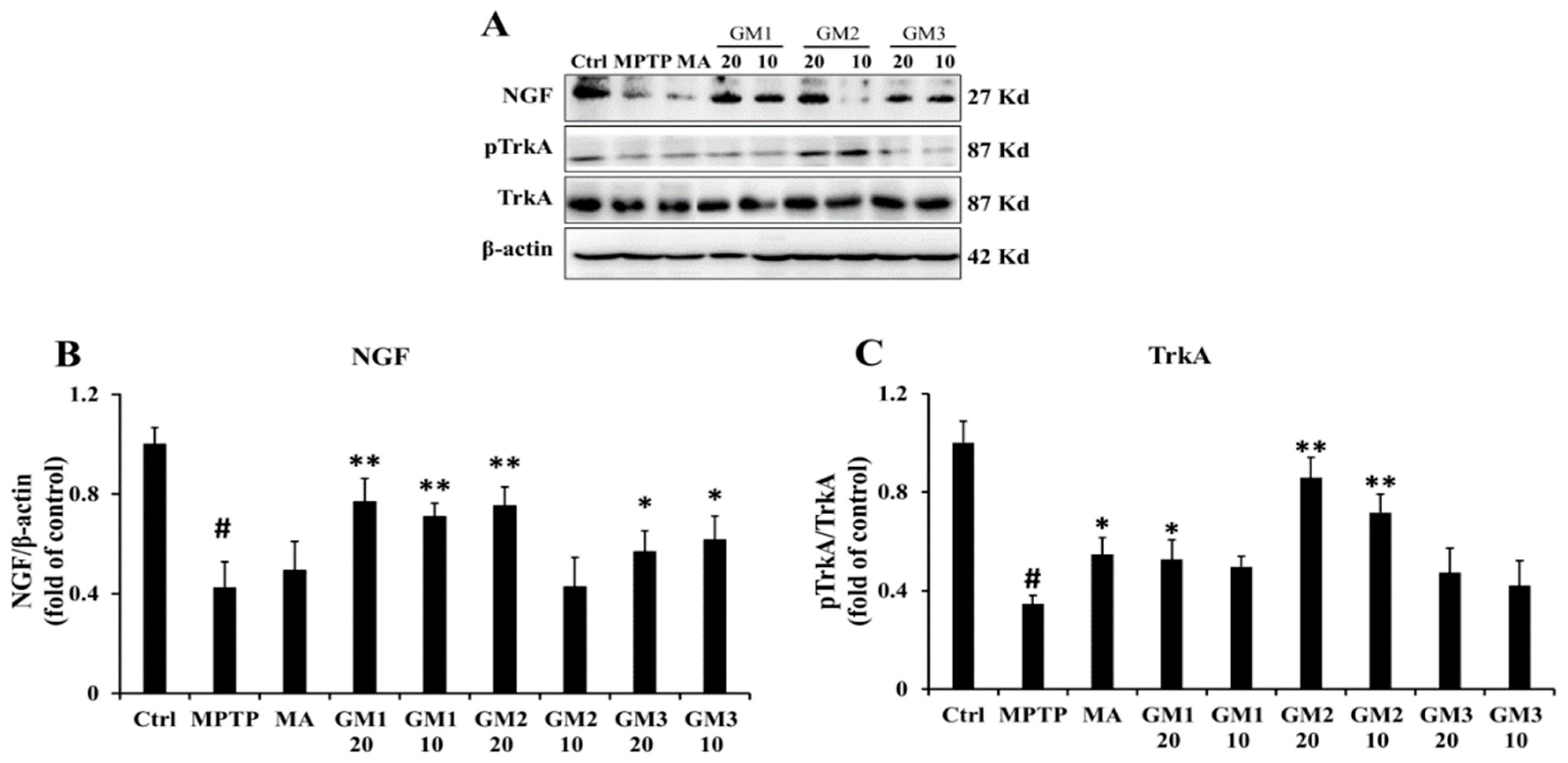 Marinedrugs 18 00438 g007