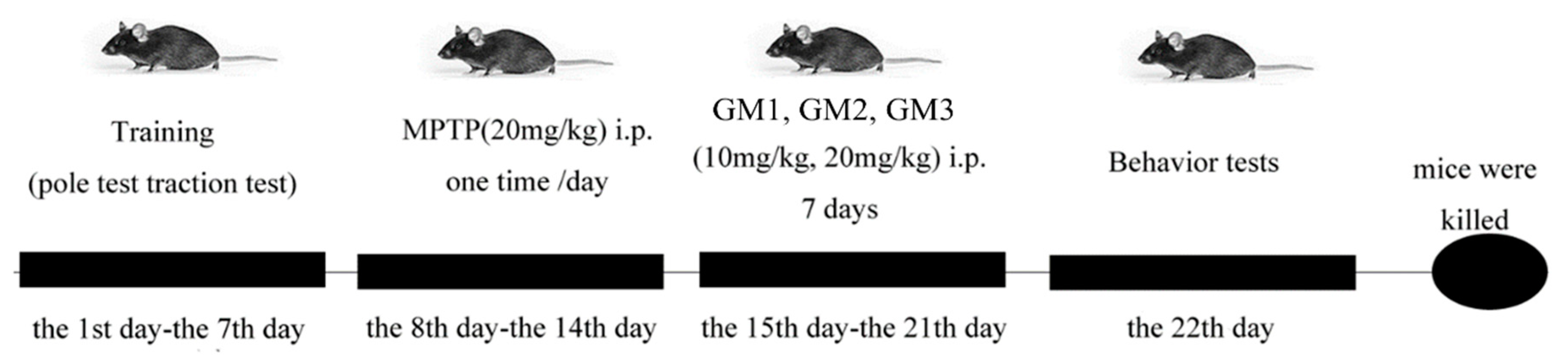 Marinedrugs 18 00438 g008