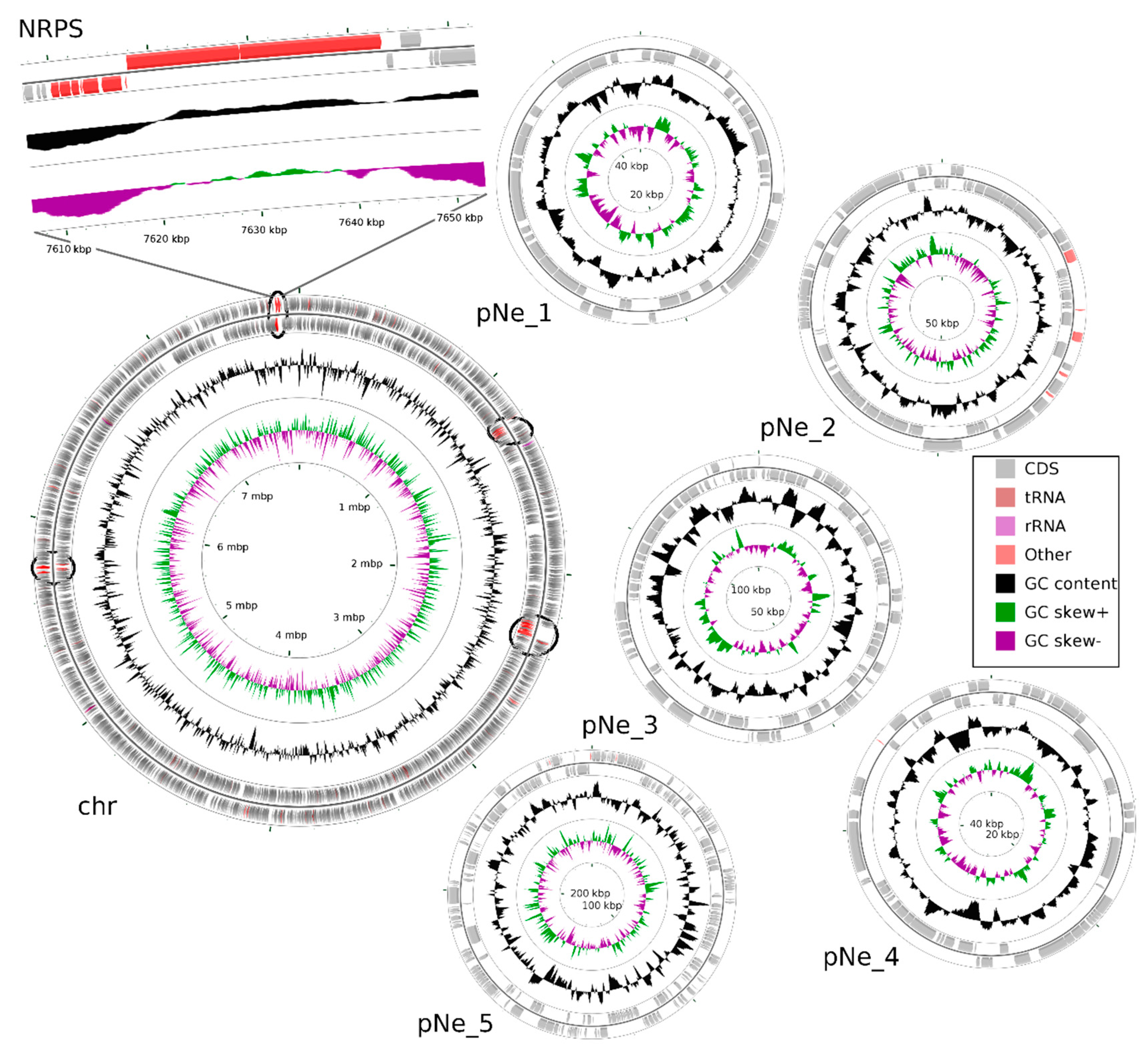 Marinedrugs 18 00442 g002