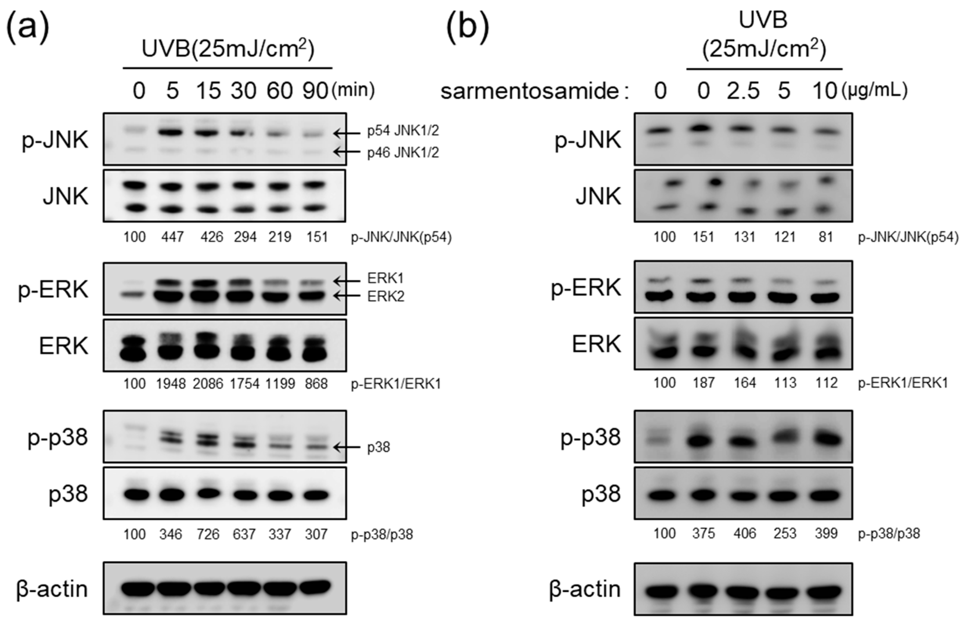 Marinedrugs 18 00463 g004