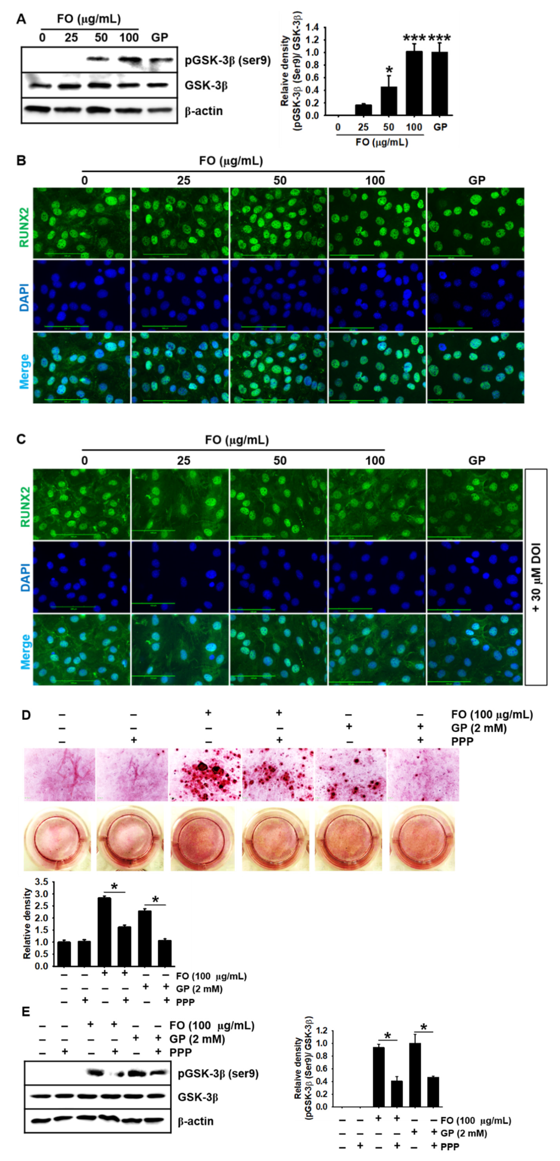 Marinedrugs 18 00472 g005