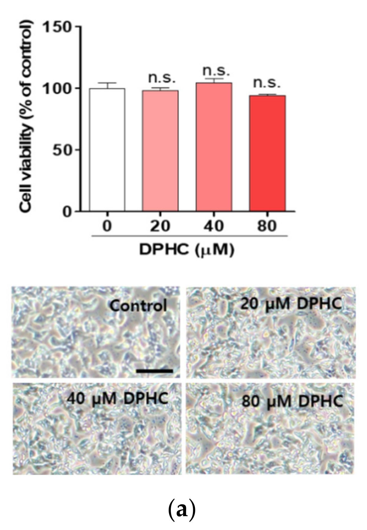 Marinedrugs 18 00475 g001a