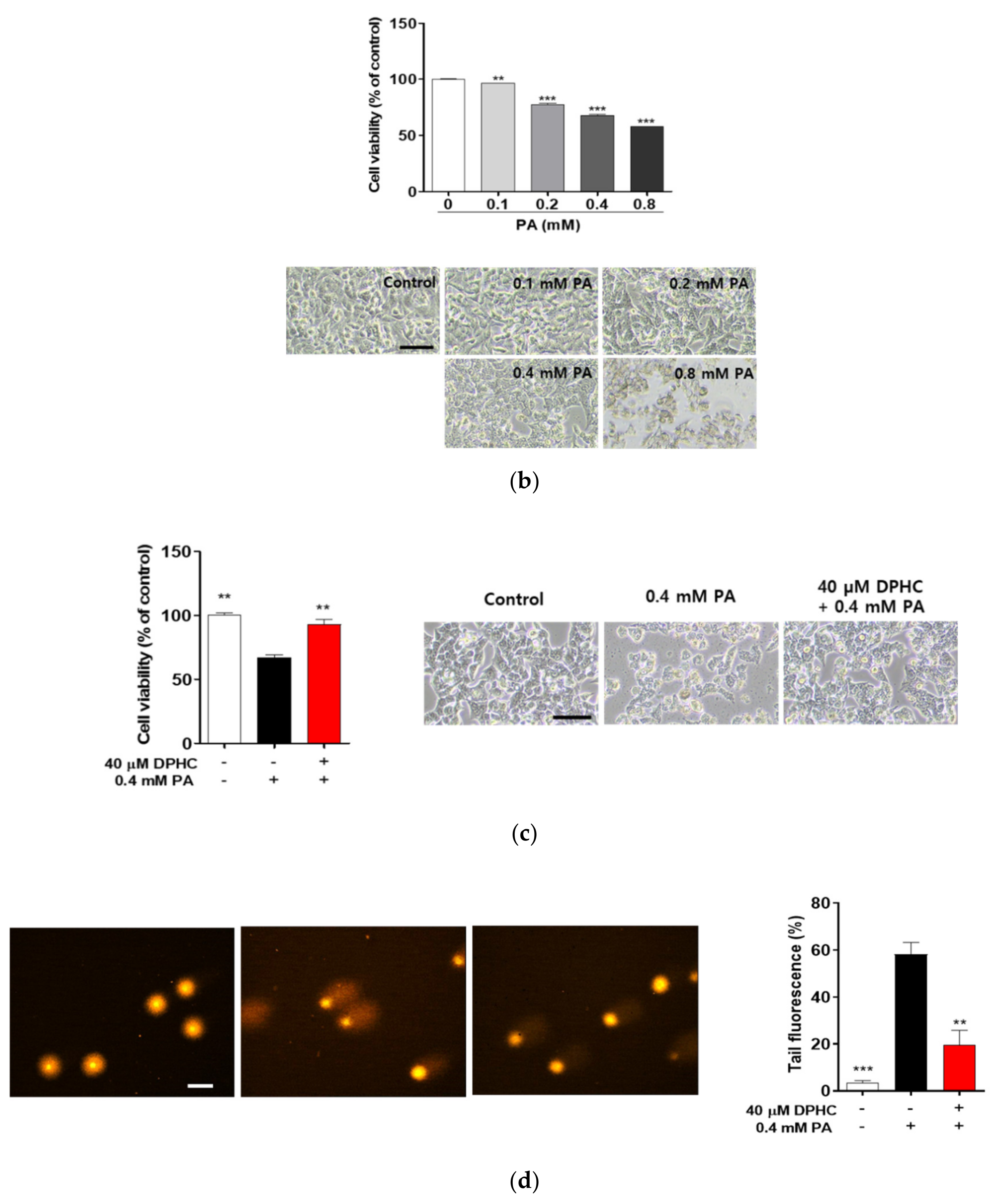 Marinedrugs 18 00475 g001b