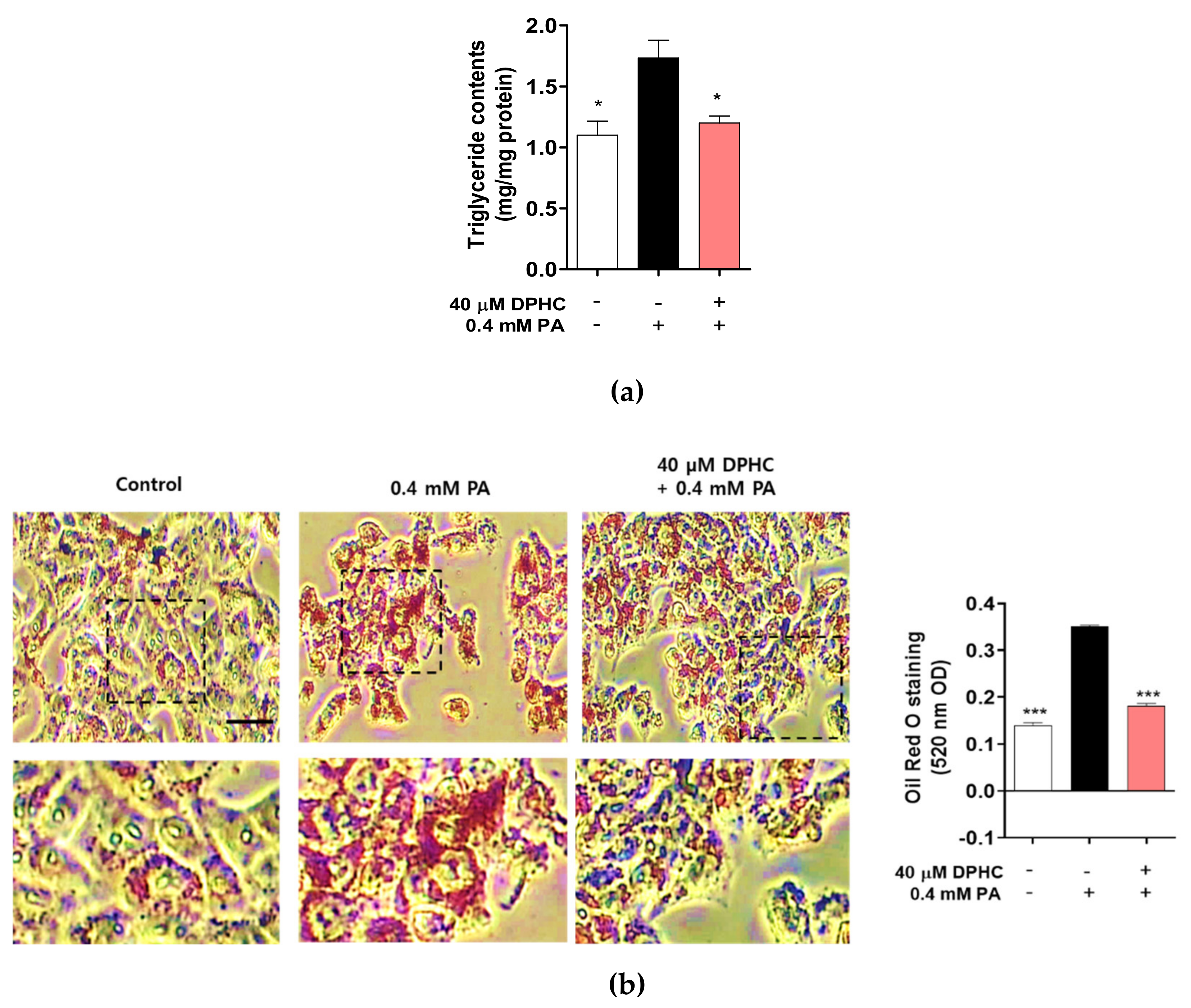 Marinedrugs 18 00475 g002