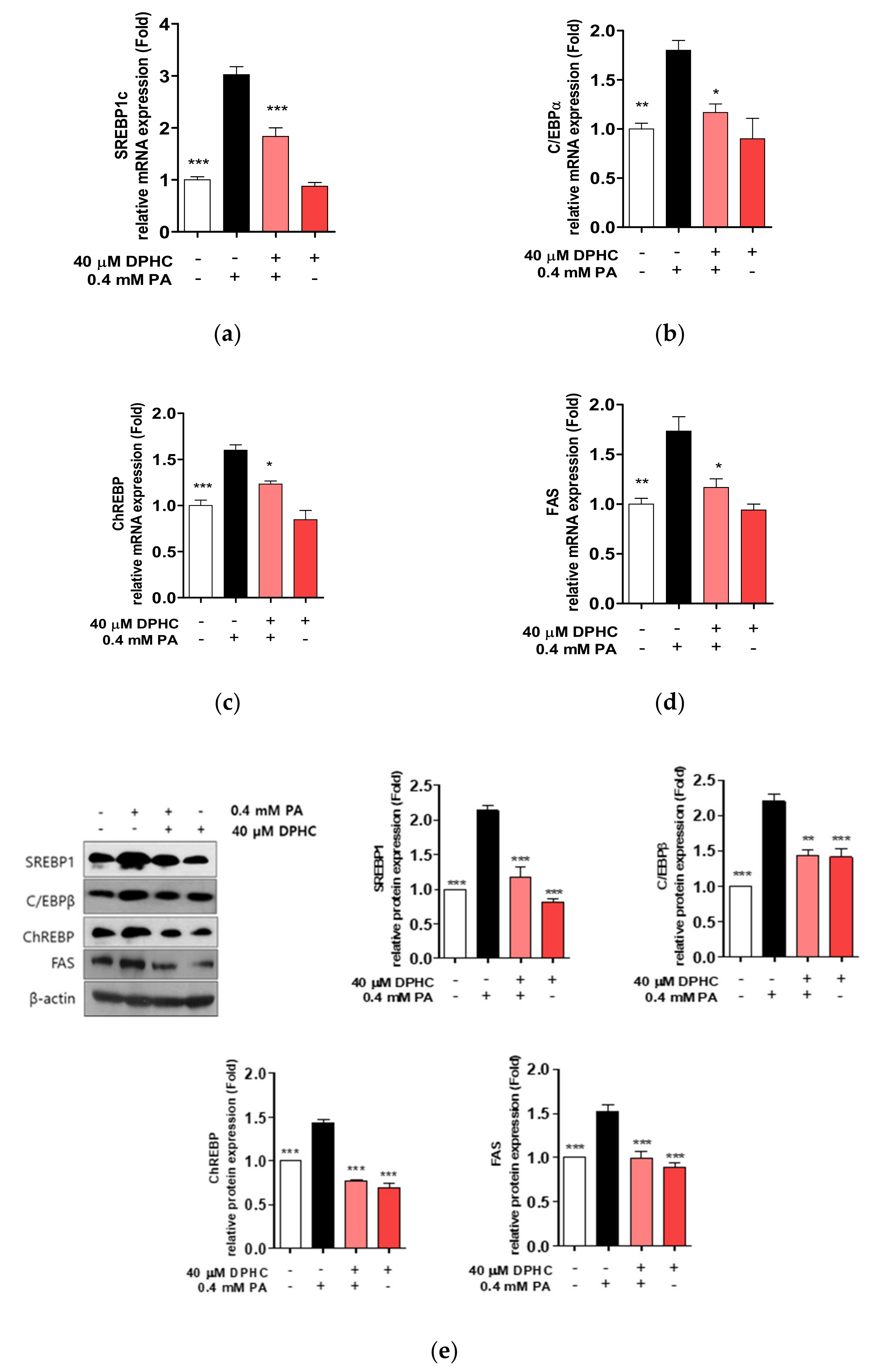 Marinedrugs 18 00475 g003