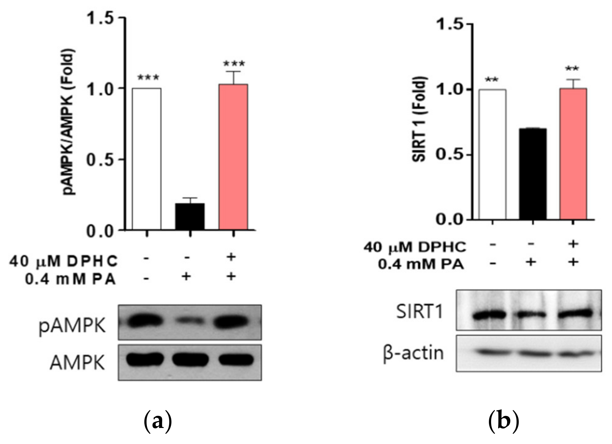 Marinedrugs 18 00475 g004