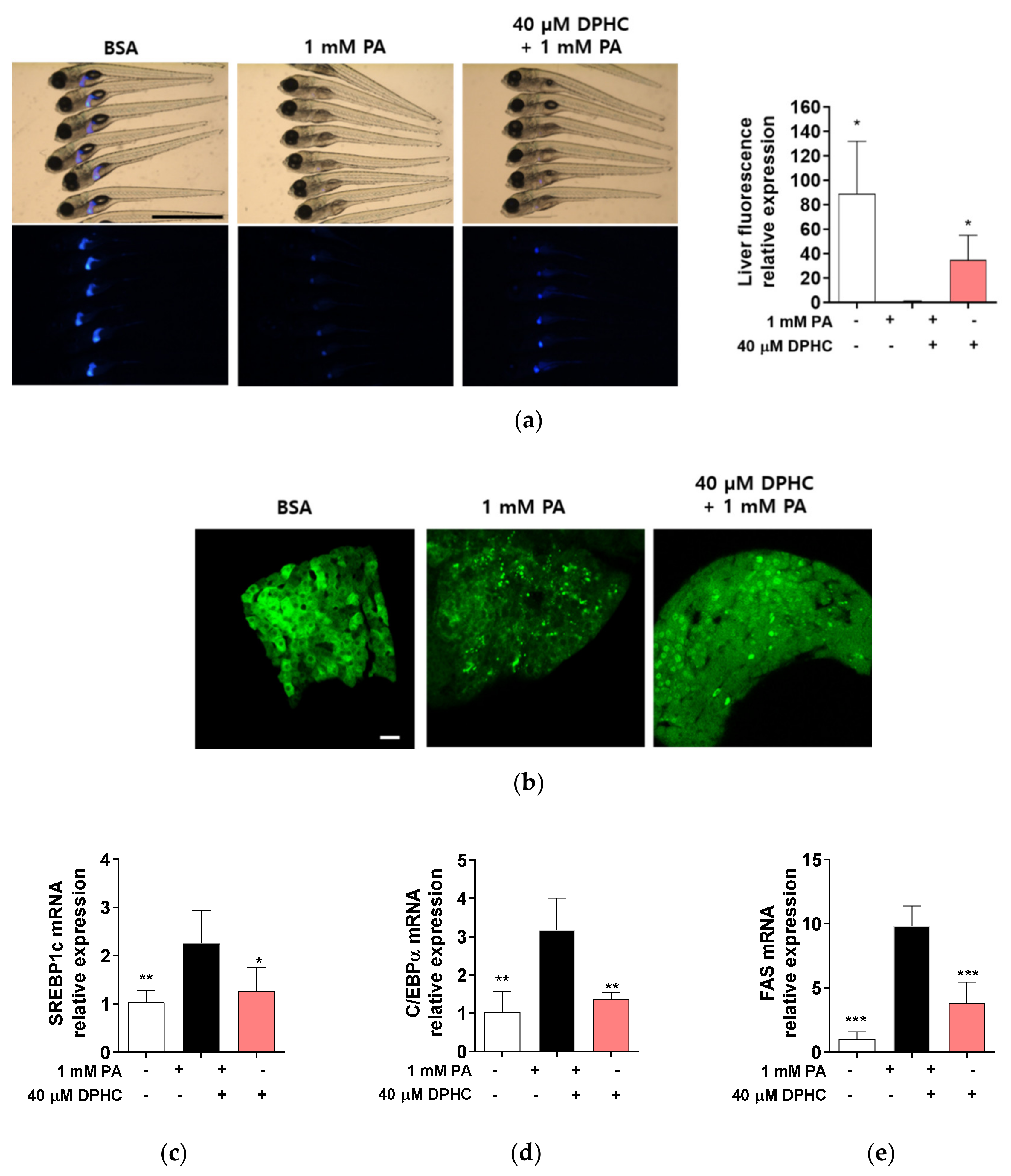 Marinedrugs 18 00475 g005