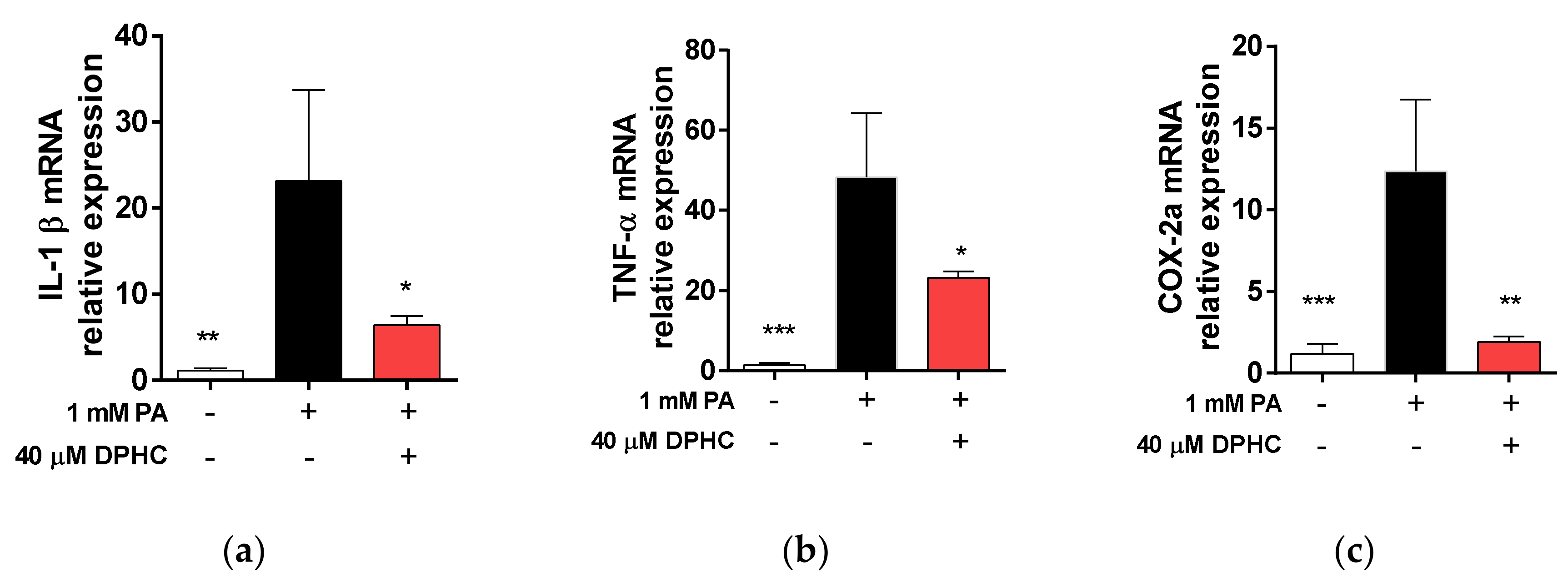 Marinedrugs 18 00475 g006