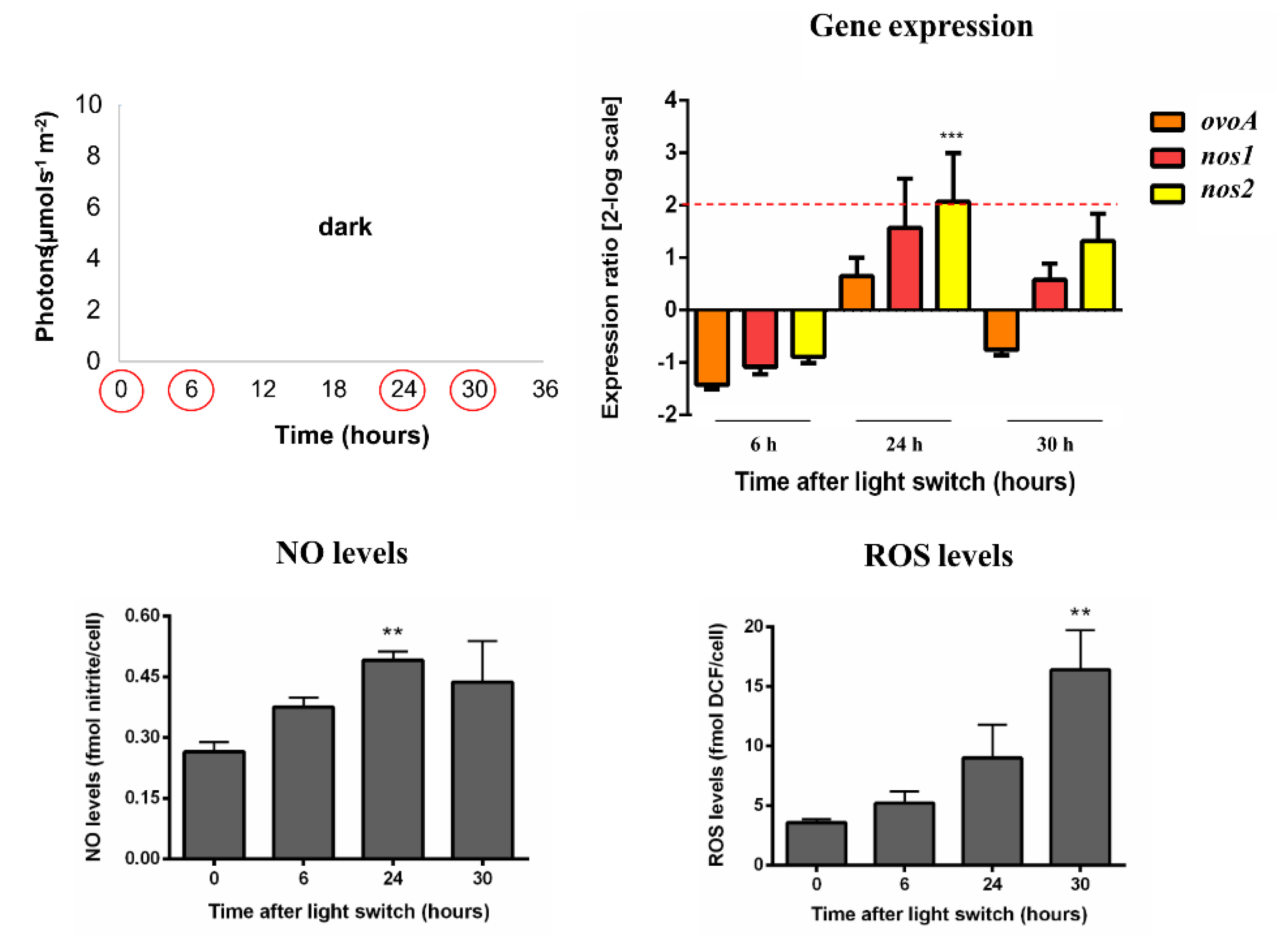 Marinedrugs 18 00477 g003 Marinedrugs 18 00477 g003