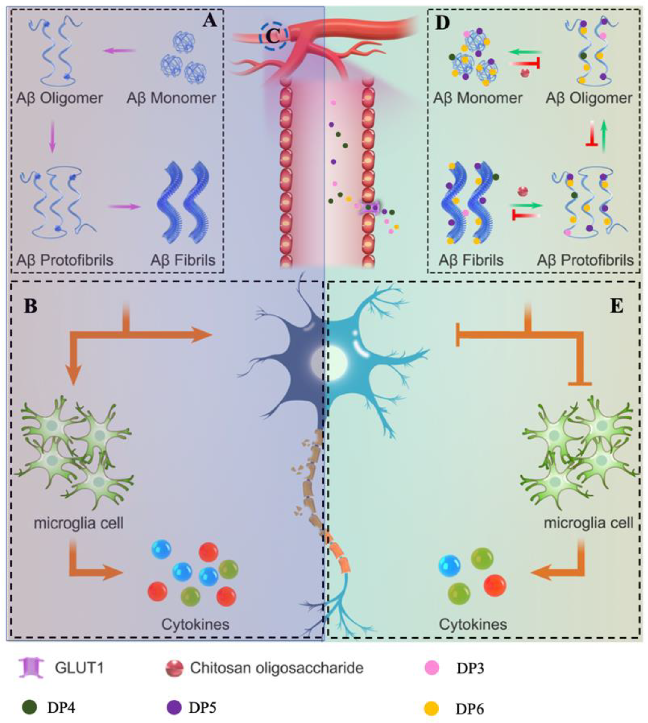 Marinedrugs 18 00488 g010