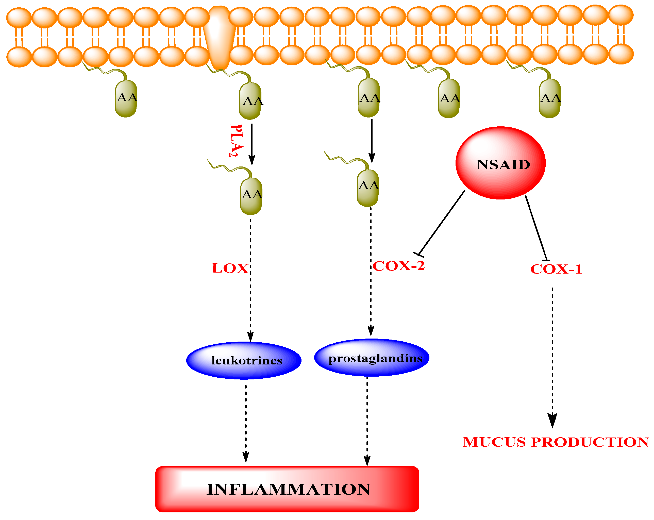 Marinedrugs 18 00493 g002