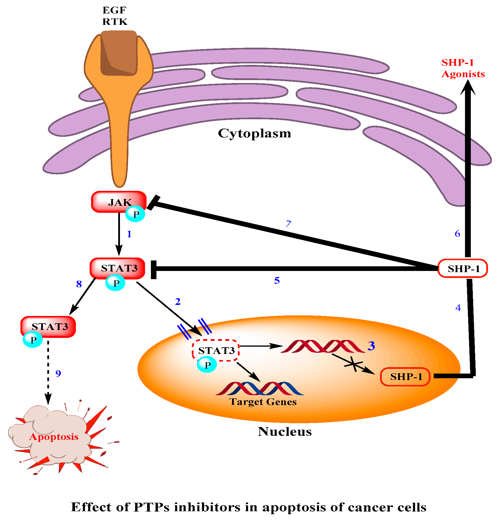 Marinedrugs 18 00493 g004