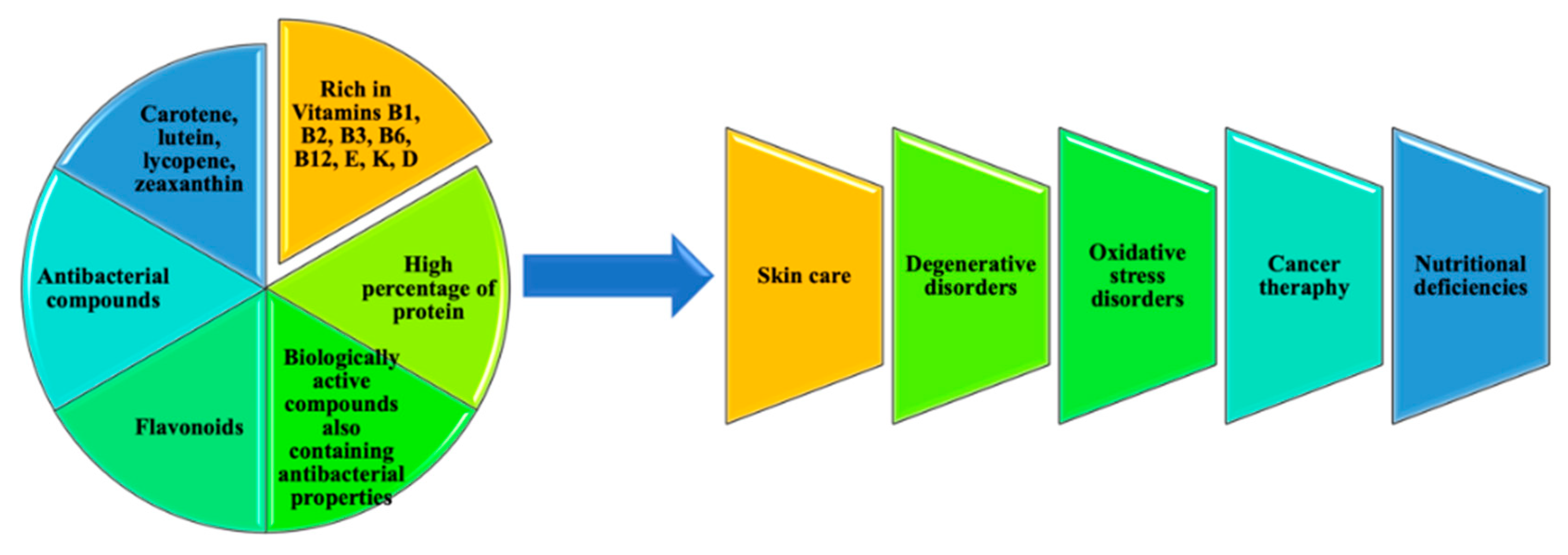 Marinedrugs 18 00493 g010