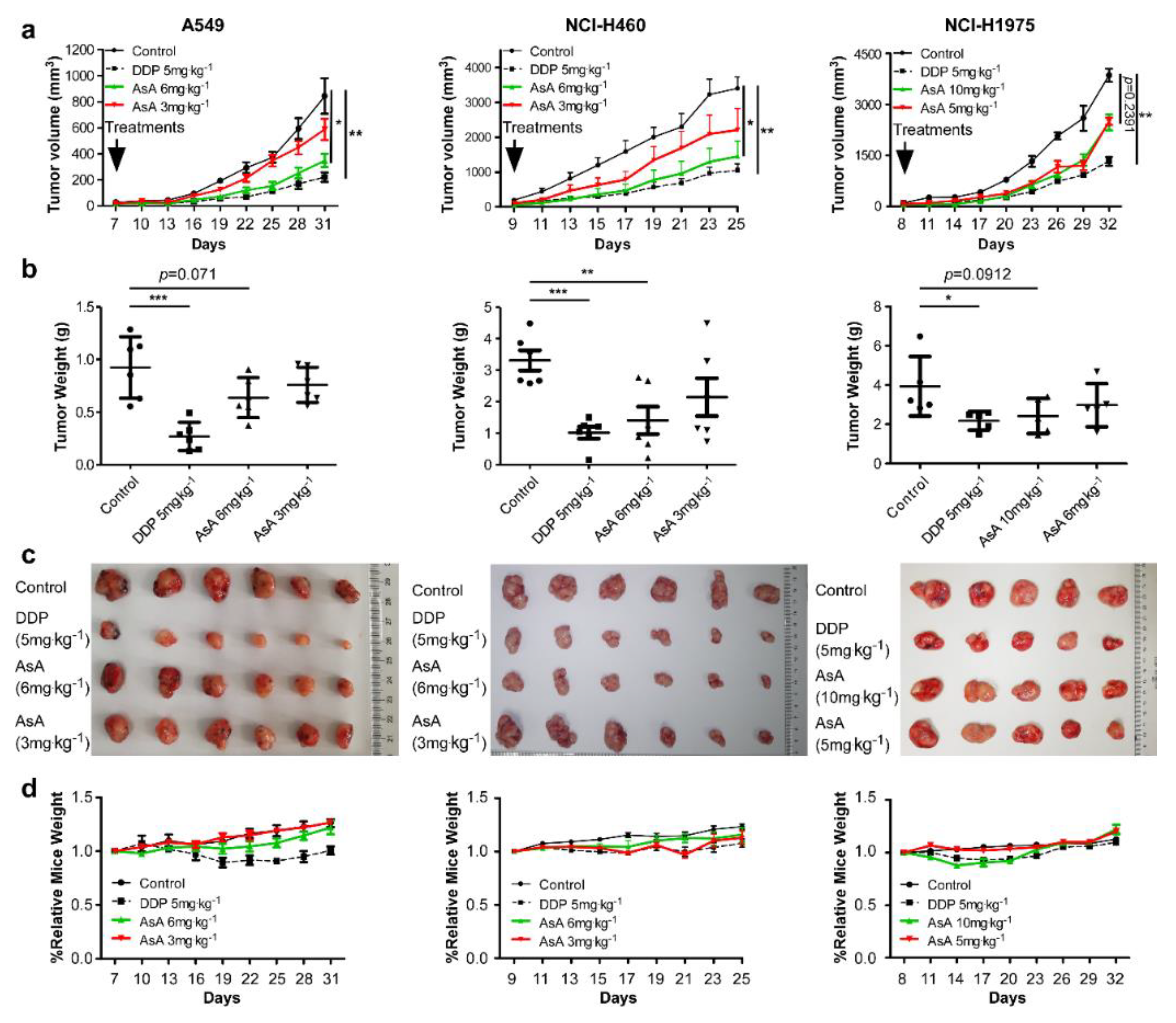 Marinedrugs 18 00494 g002 Marinedrugs 18 00494 g002