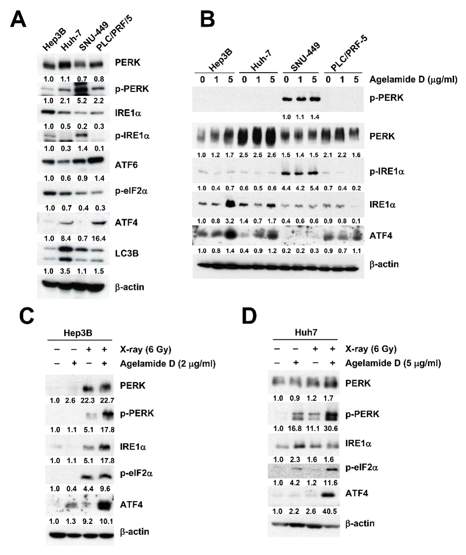 Marinedrugs 18 00500 g003 Marinedrugs 18 00500 g003