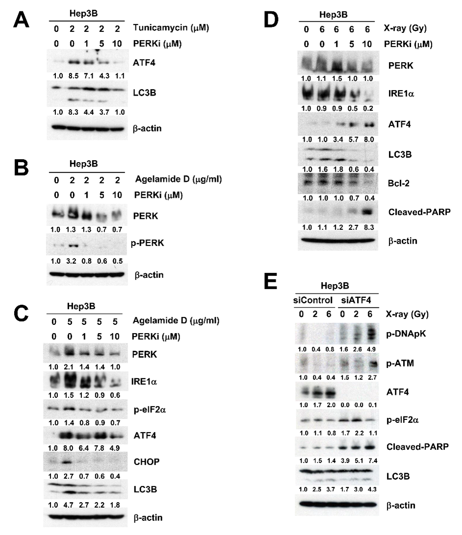 Marinedrugs 18 00500 g004 Marinedrugs 18 00500 g004