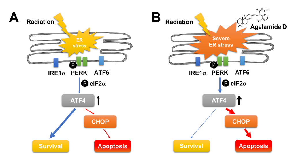 Marinedrugs 18 00500 g007 Marinedrugs 18 00500 g007