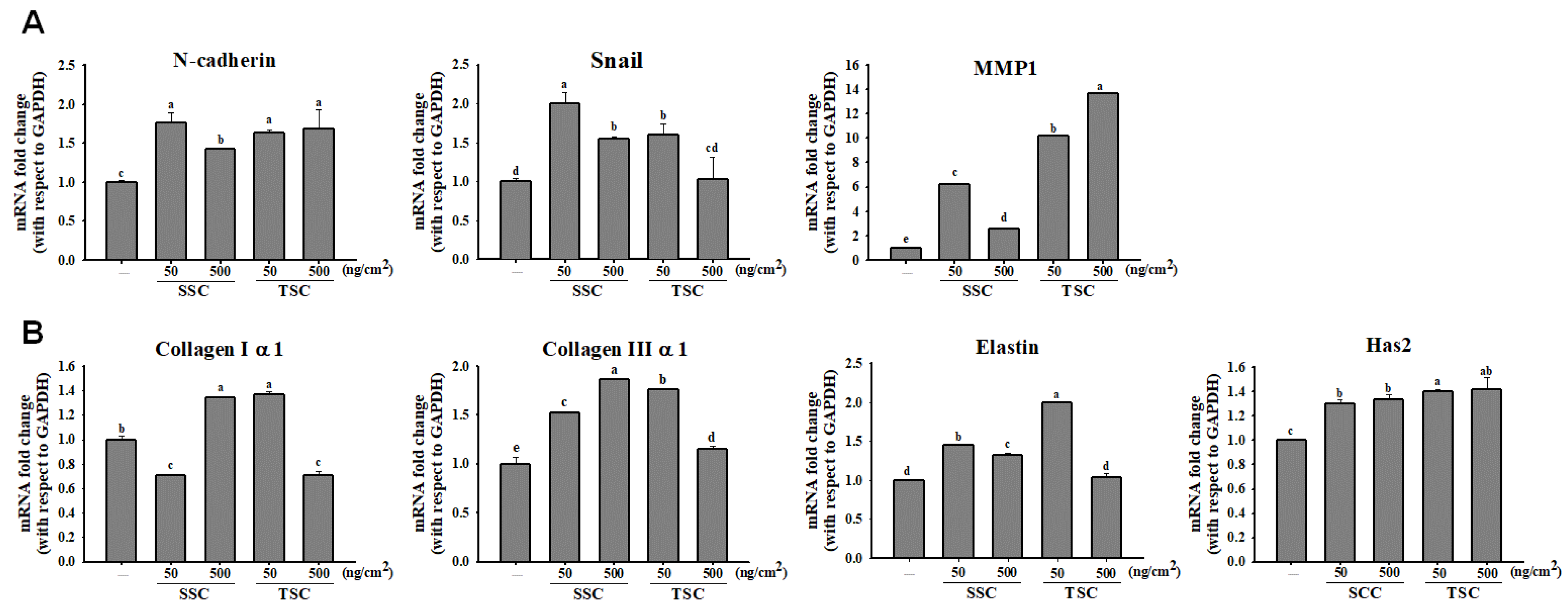 Marinedrugs 18 00511 g004