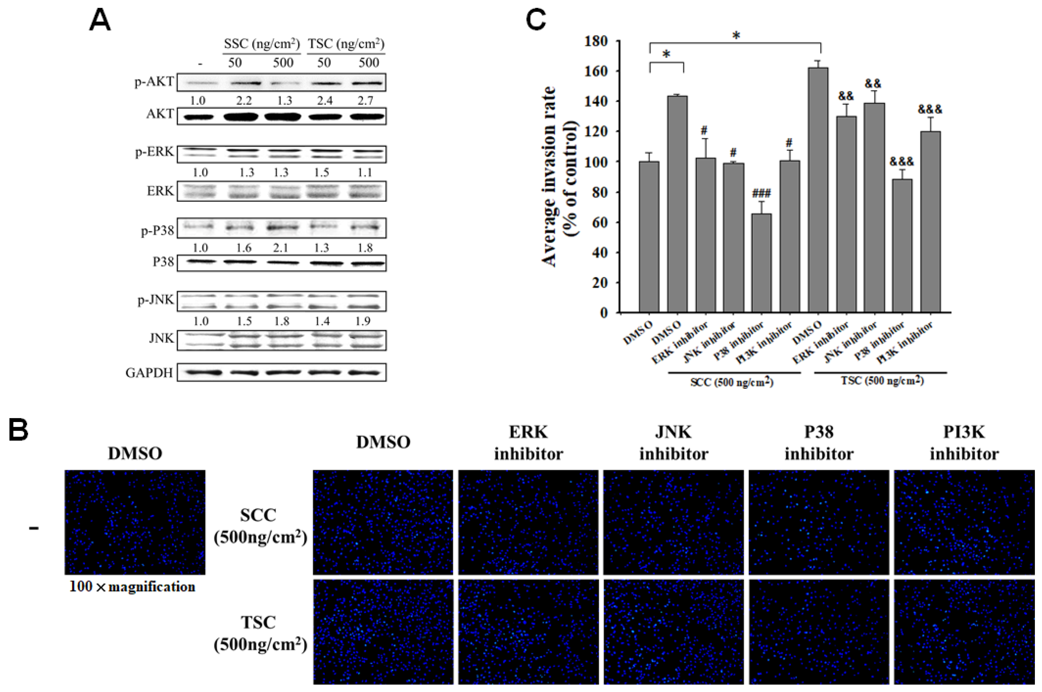 Marinedrugs 18 00511 g005