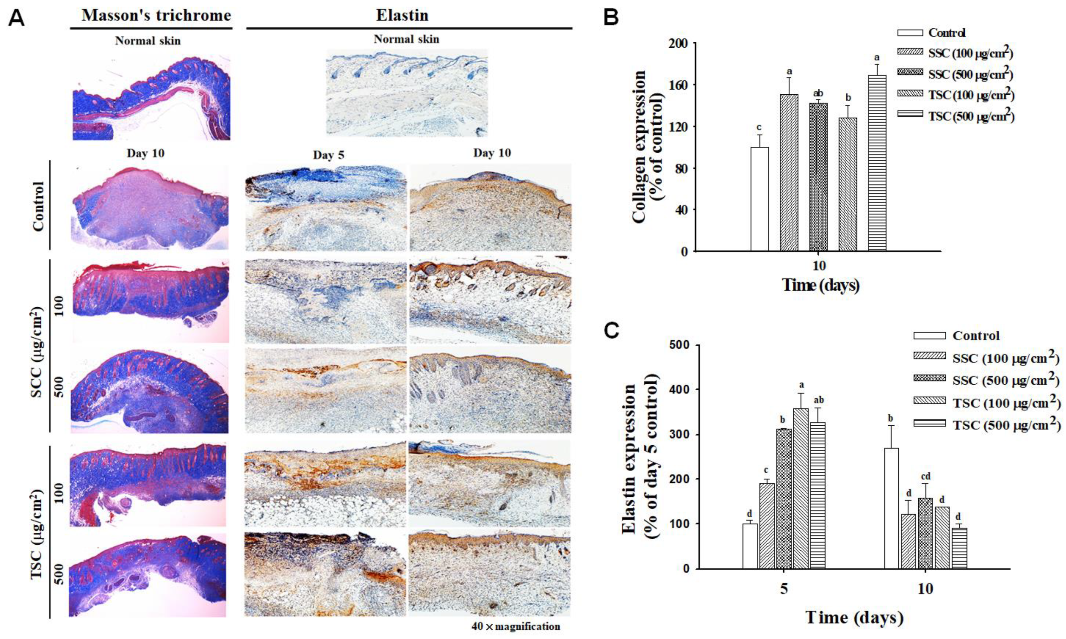 Marinedrugs 18 00511 g007