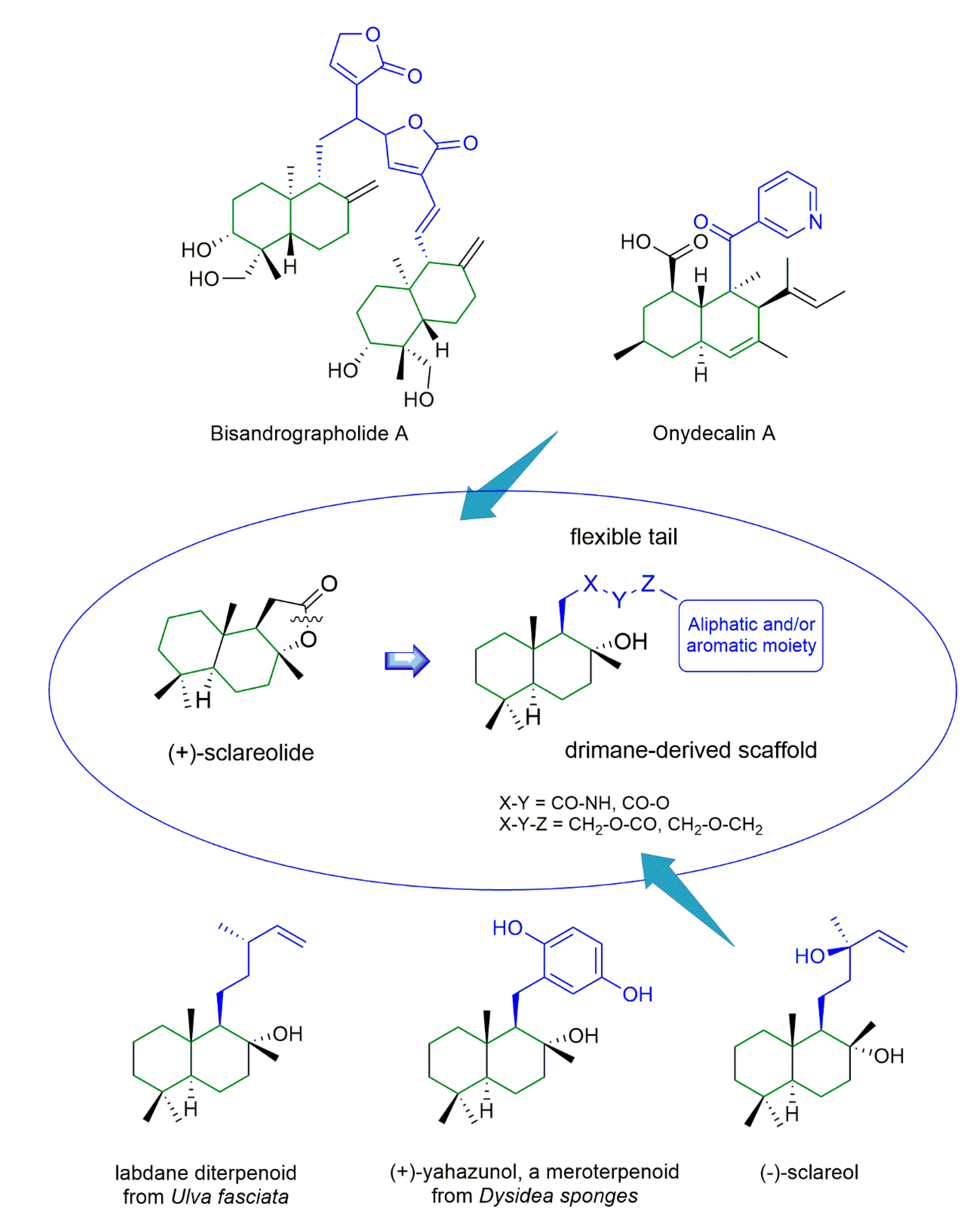 Marinedrugs 18 00519 g001 Marinedrugs 18 00519 g001