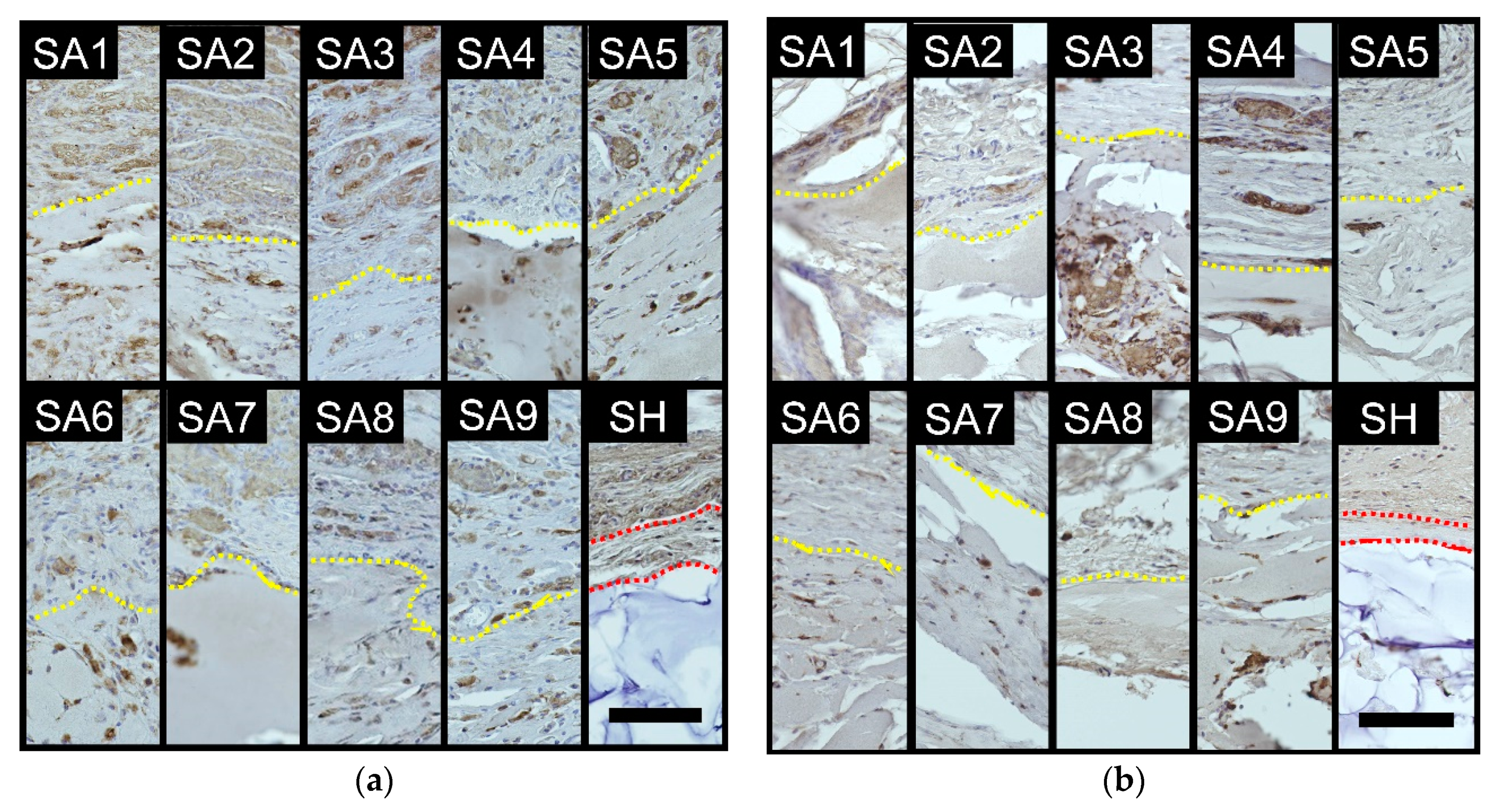 Marinedrugs 18 00520 g005